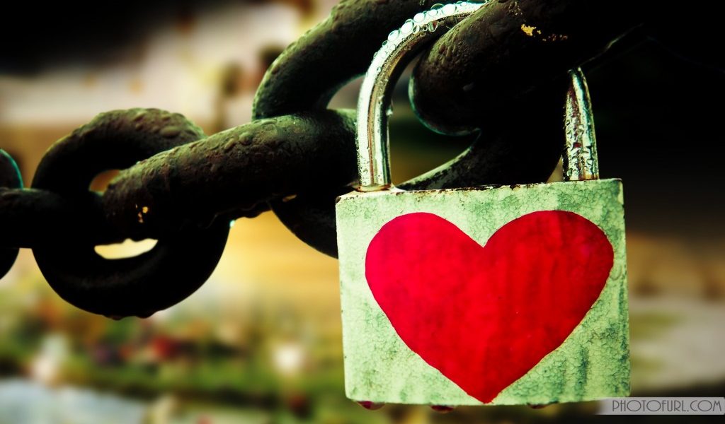 벽지 다운로드 무료 이미지 검색,자물쇠,초록,사랑,심장,심장