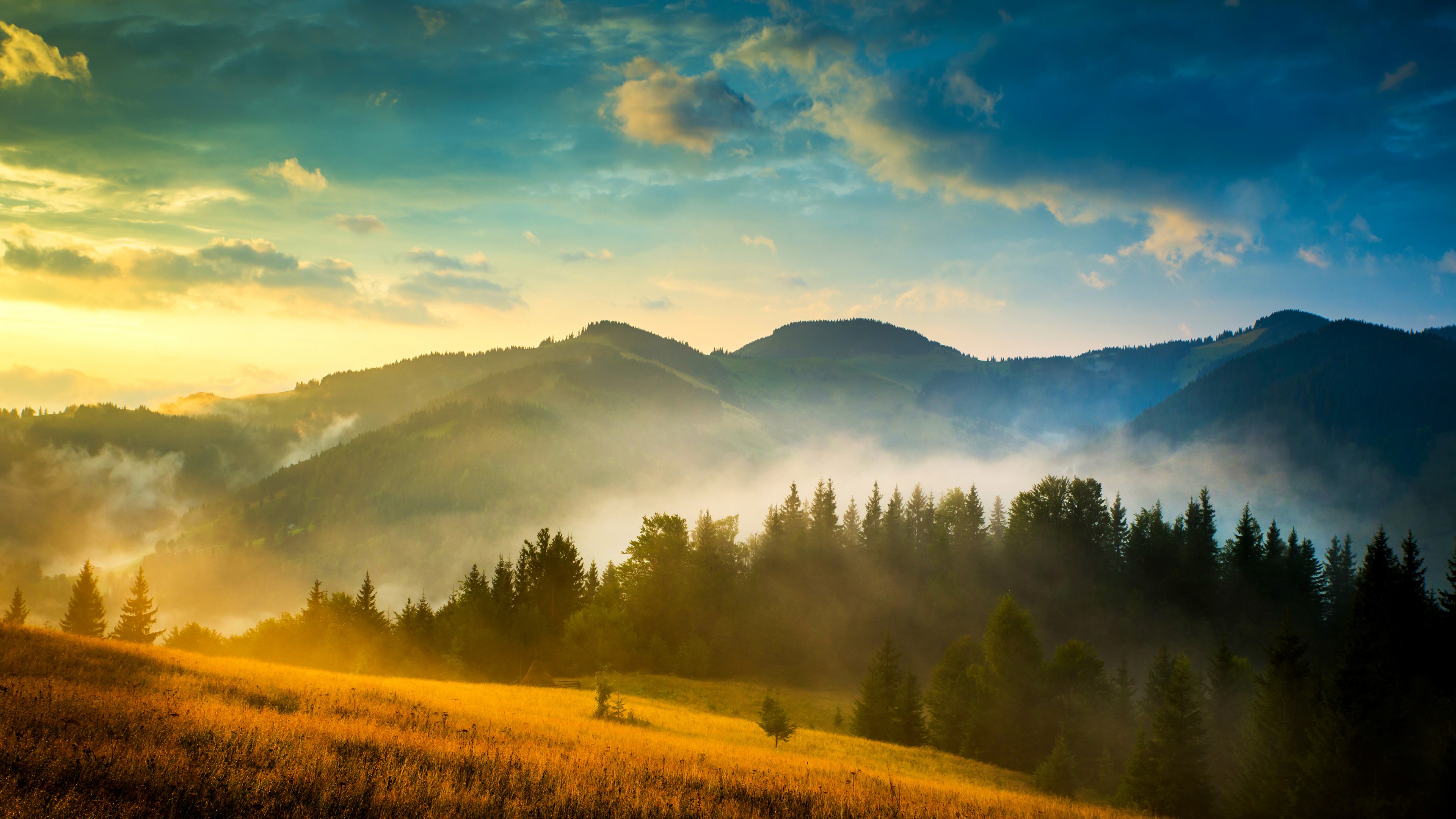 wallpaper hd 4k,cielo,natura,paesaggio naturale,mattina,nebbia