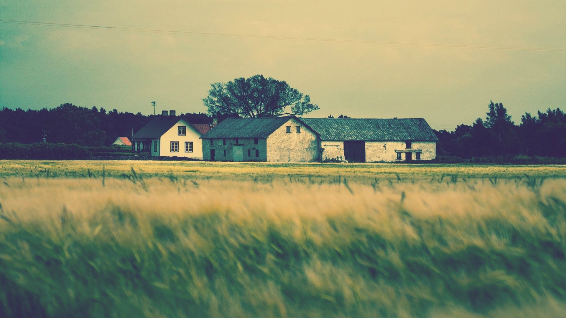 définir le papier peint,ciel,maison,vert,paysage naturel,zone rurale