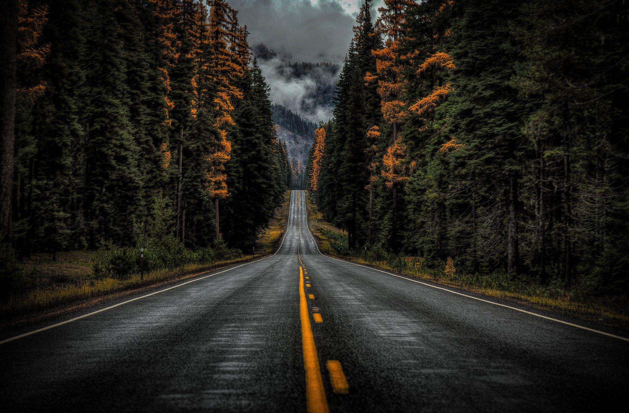 fondo de pantalla de carretera,la carretera,naturaleza,paisaje natural,árbol,cielo