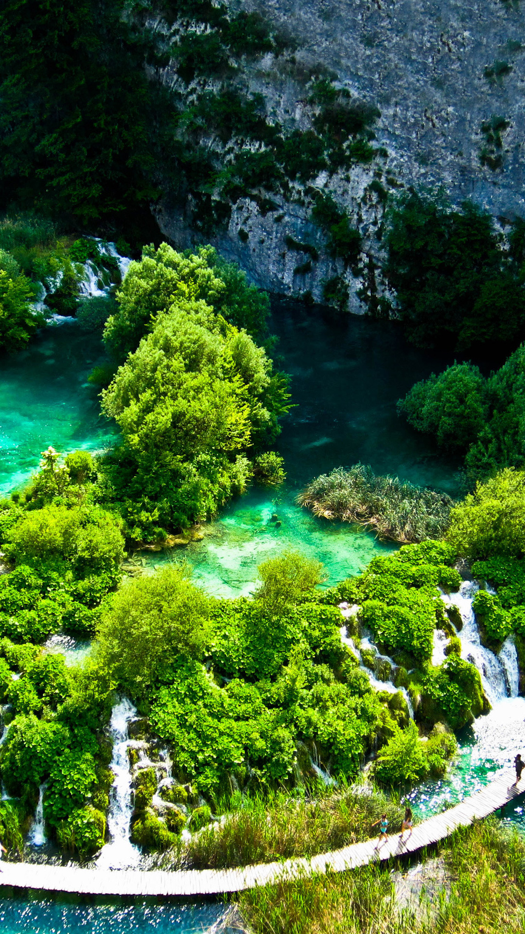 sfondi natura hd per cellulari,paesaggio naturale,natura,verde,risorse idriche,albero