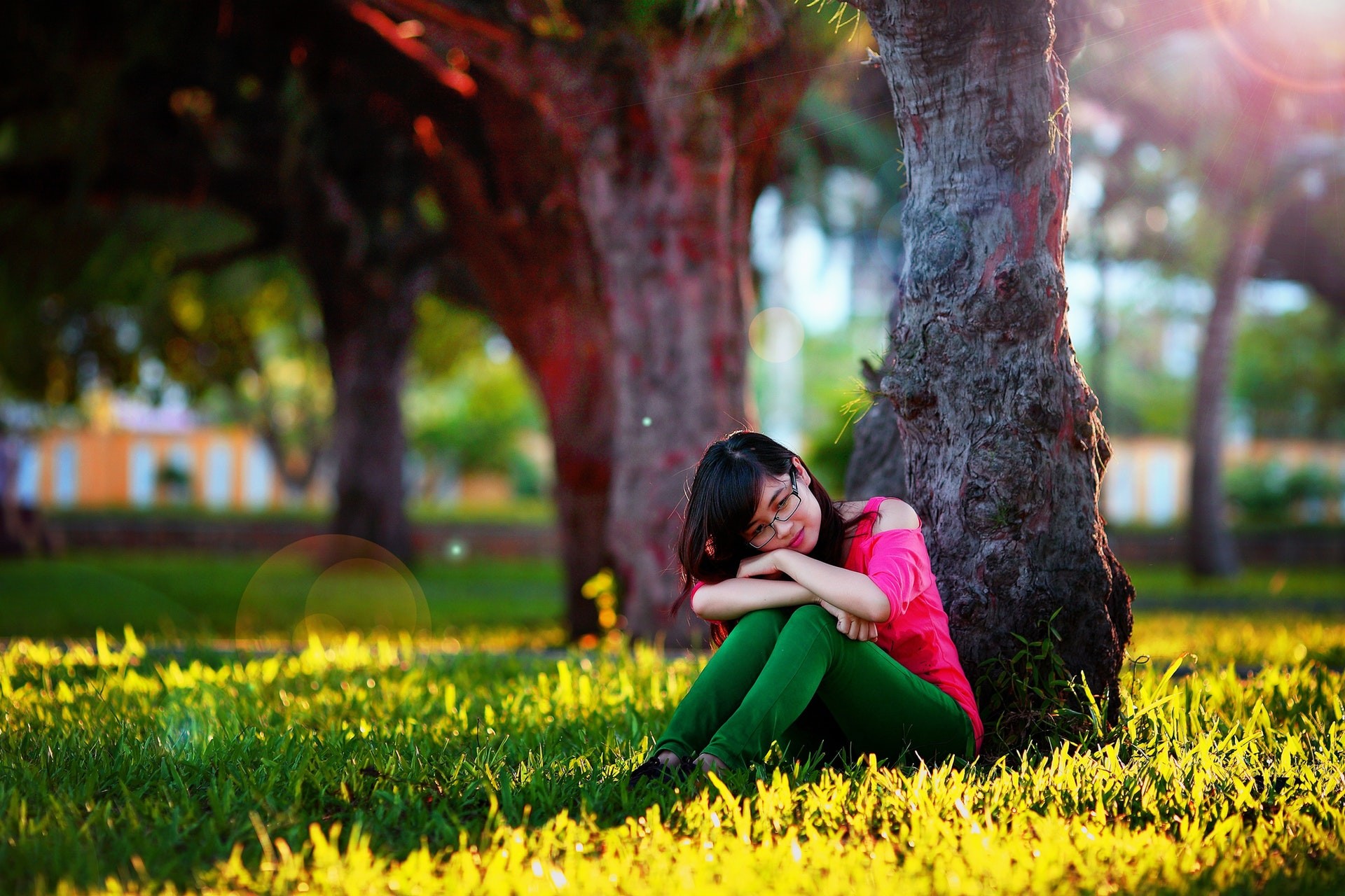 sweet love wallpaper download,people in nature,photograph,nature,grass,green