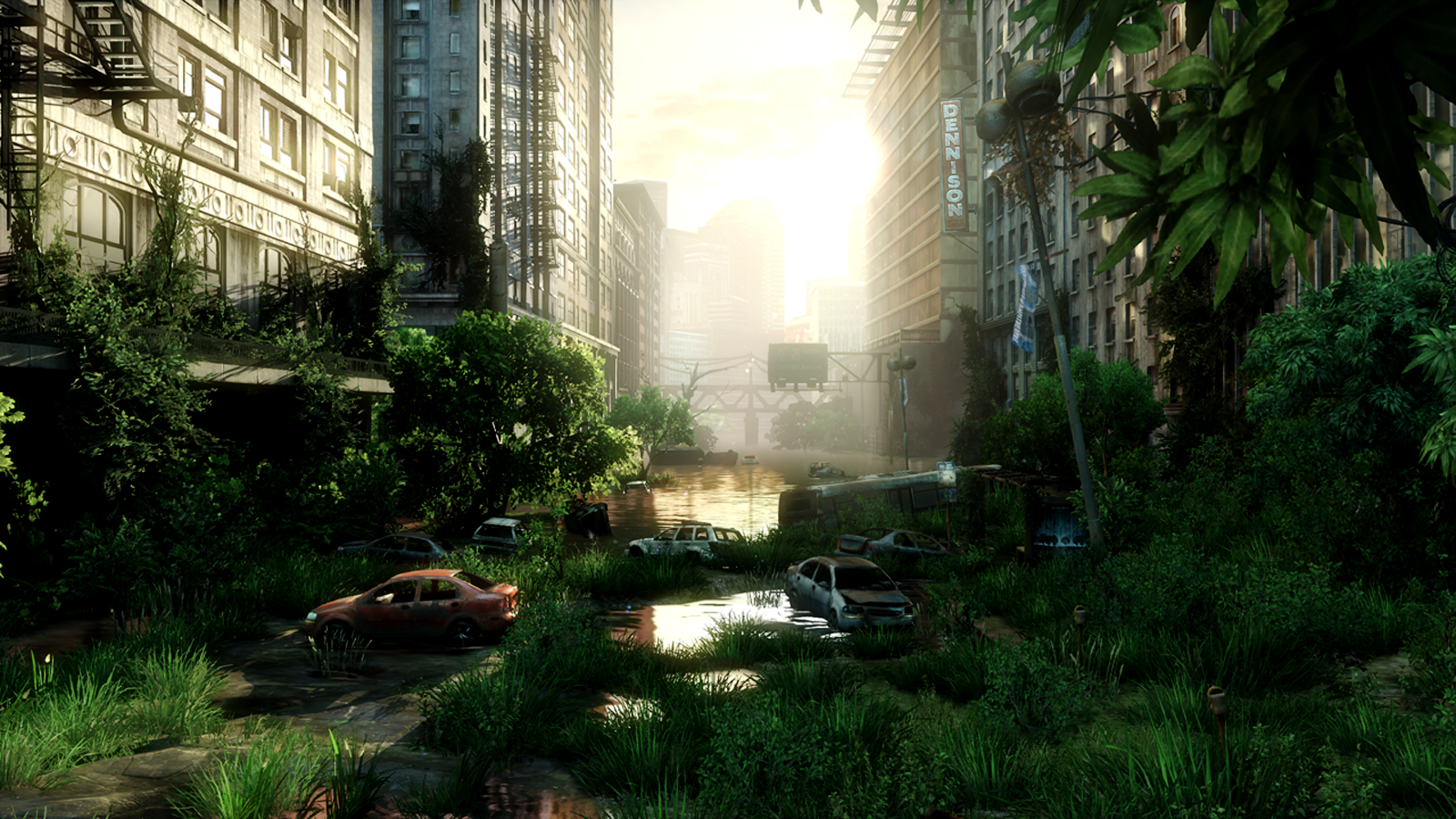 the last of us wallpaper,vegetation,nature,sunlight,natural environment,biome