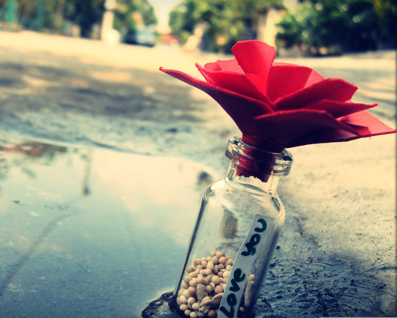 fonds d'écran d'amour avec des messages,ciel,rouge,l'eau,produit,fleur