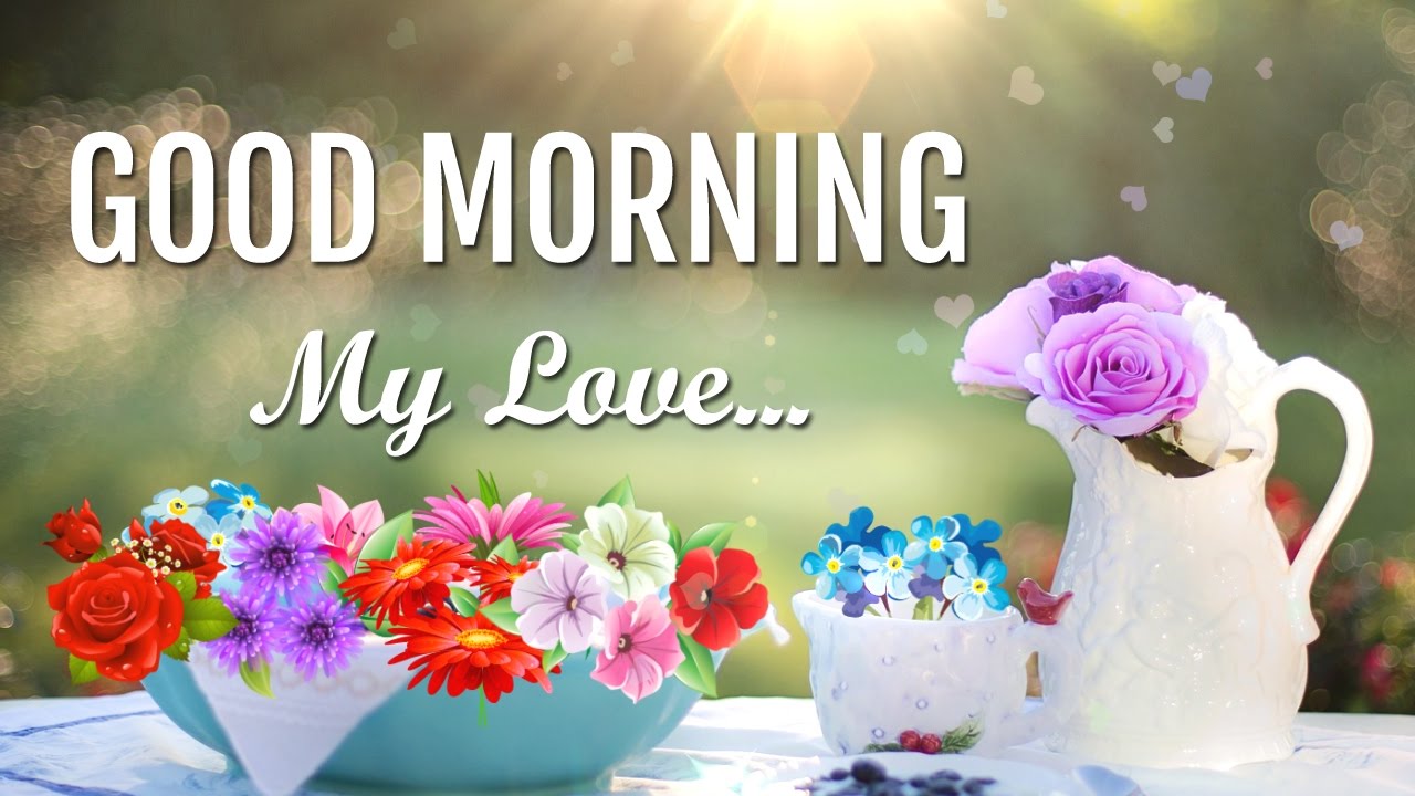 good morning wallpaper for whatsapp,morning,cut flowers,text,flower,font