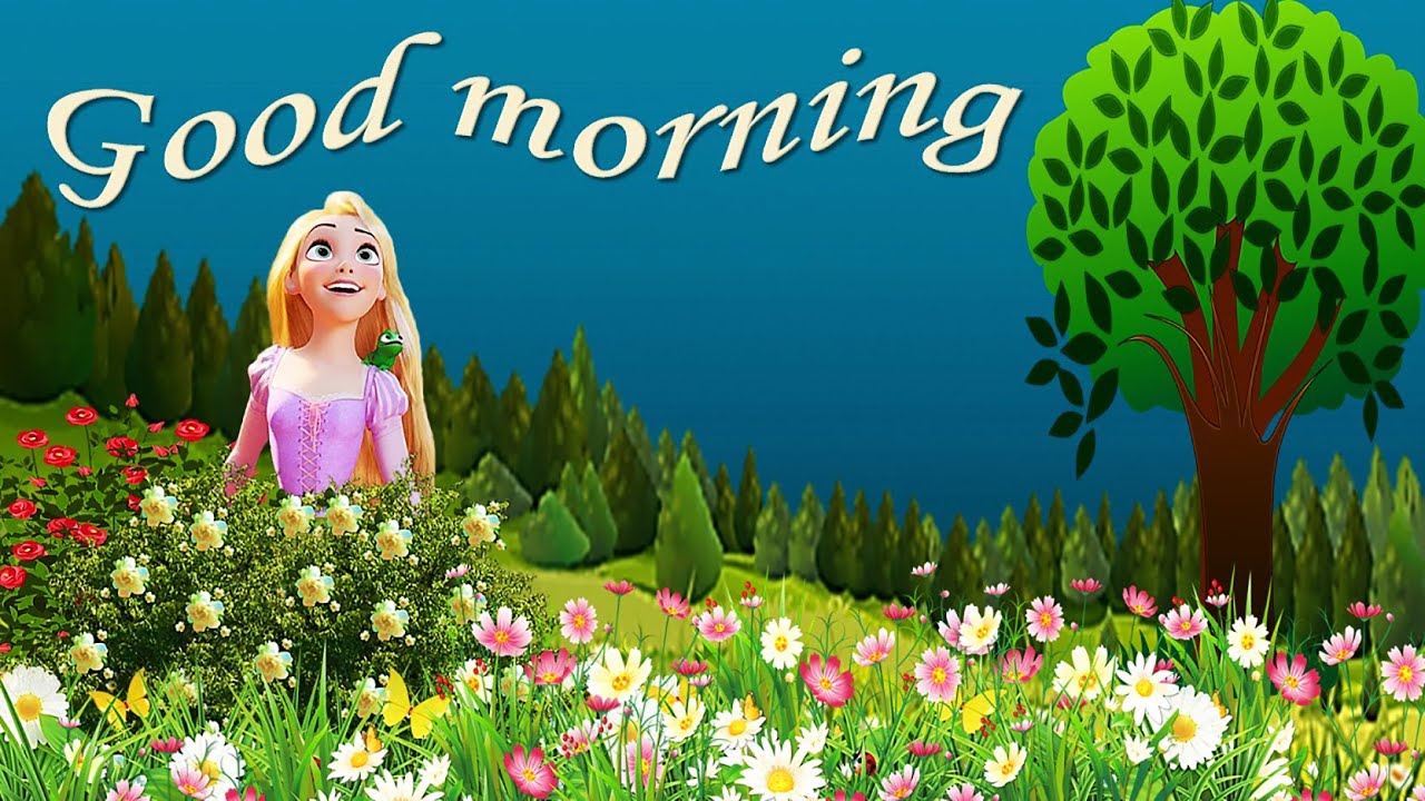 whatsapp 좋은 아침 벽지,자연 경관,봄,목초지,꽃,식물