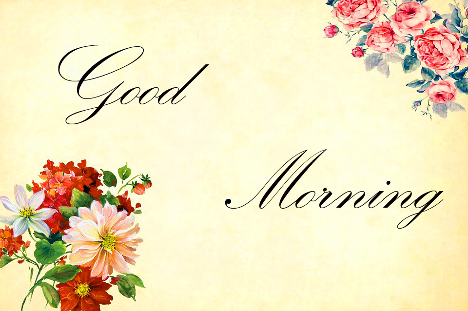 good morning wallpaper for whatsapp,text,font,greeting,greeting card,flower