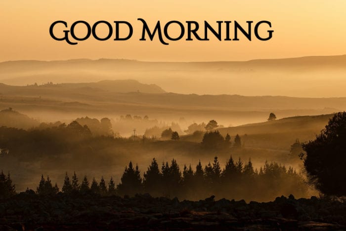 good morning wallpaper for whatsapp,nature,sky,natural landscape,atmospheric phenomenon,morning