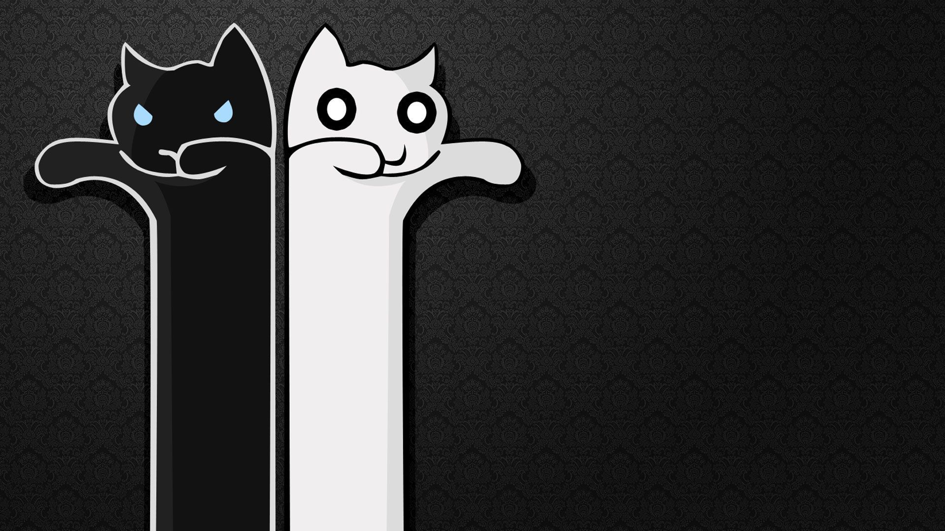 fond d'écran meme,chat,chat noir,chats de petite à moyenne taille,félidés,dessin animé