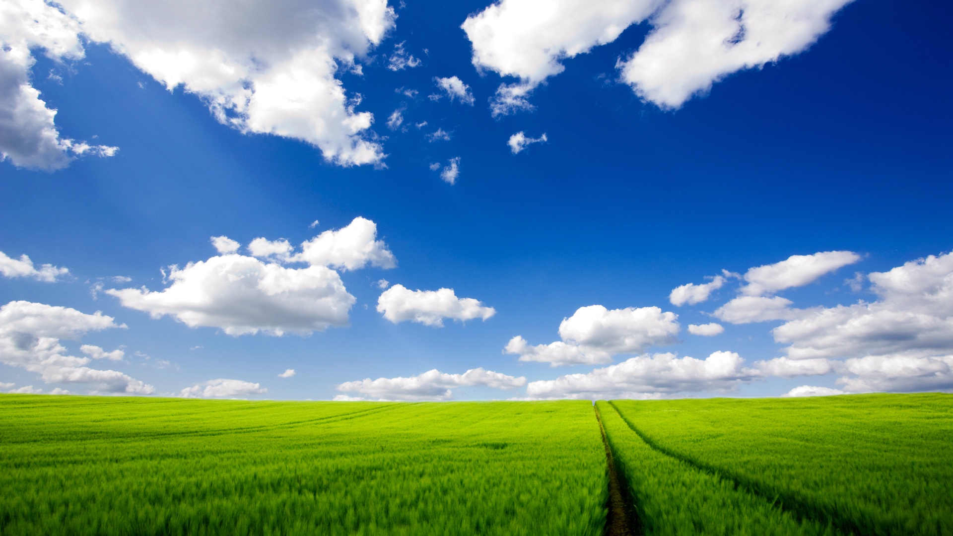 himmel,natürliche landschaft,feld,natur,wiese