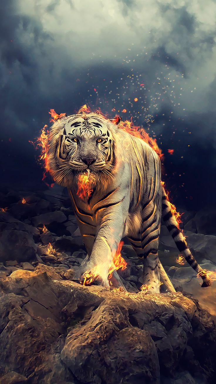 bengalischer tiger,tiger,sibirischer tiger,felidae,tierwelt