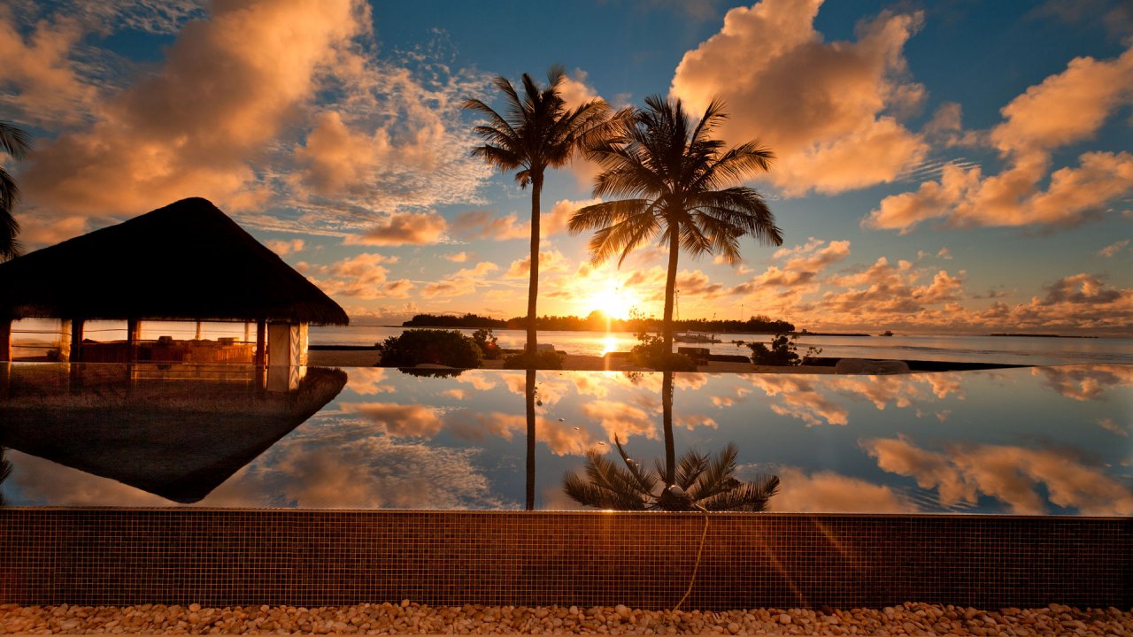 cielo,naturaleza,puesta de sol,árbol,paisaje natural