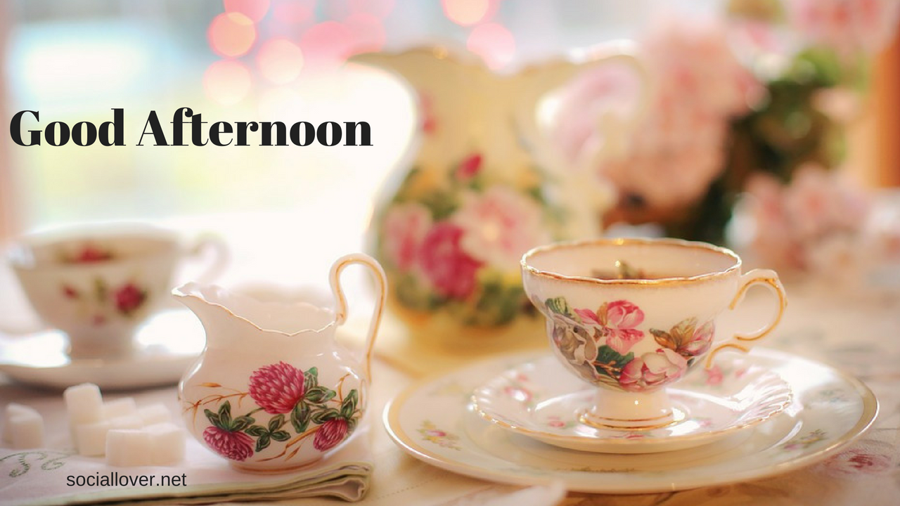 good afternoon wallpaper,cup,teacup,porcelain,coffee cup,tableware