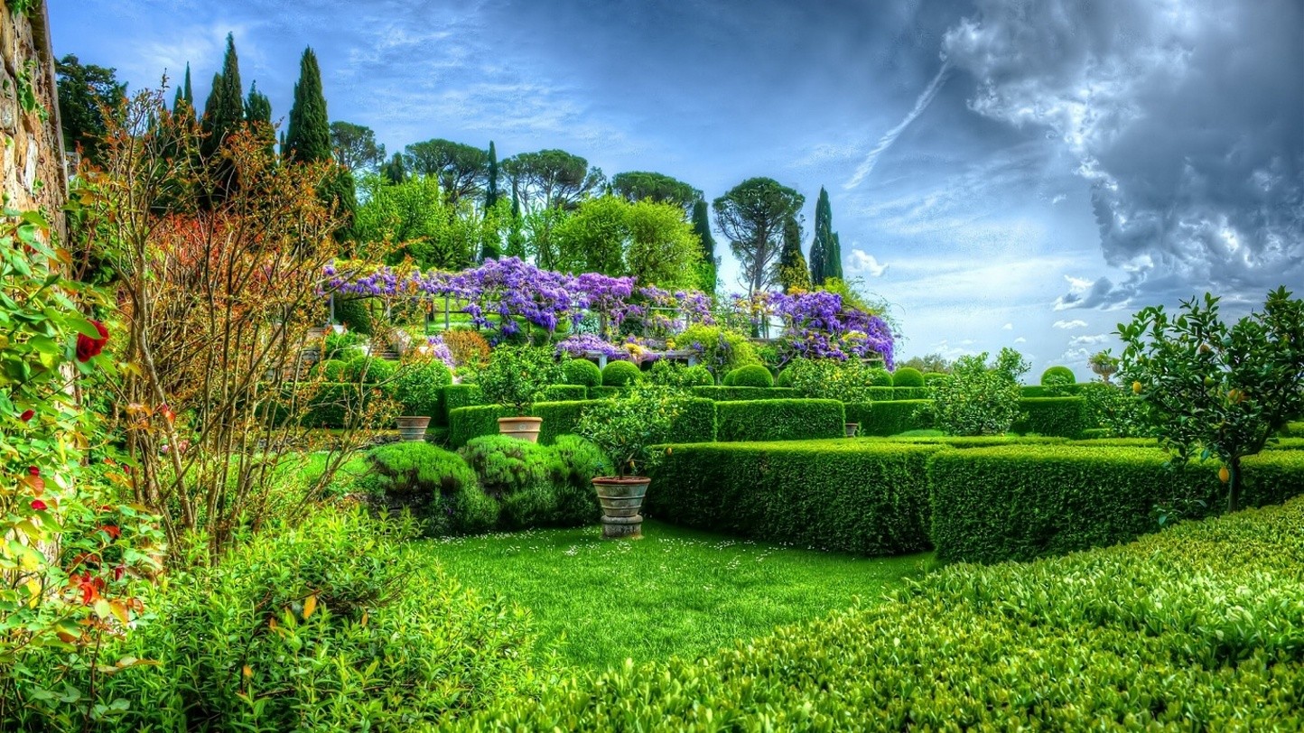 tapete natur blumen hd,natürliche landschaft,natur,garten,botanischer garten,gras