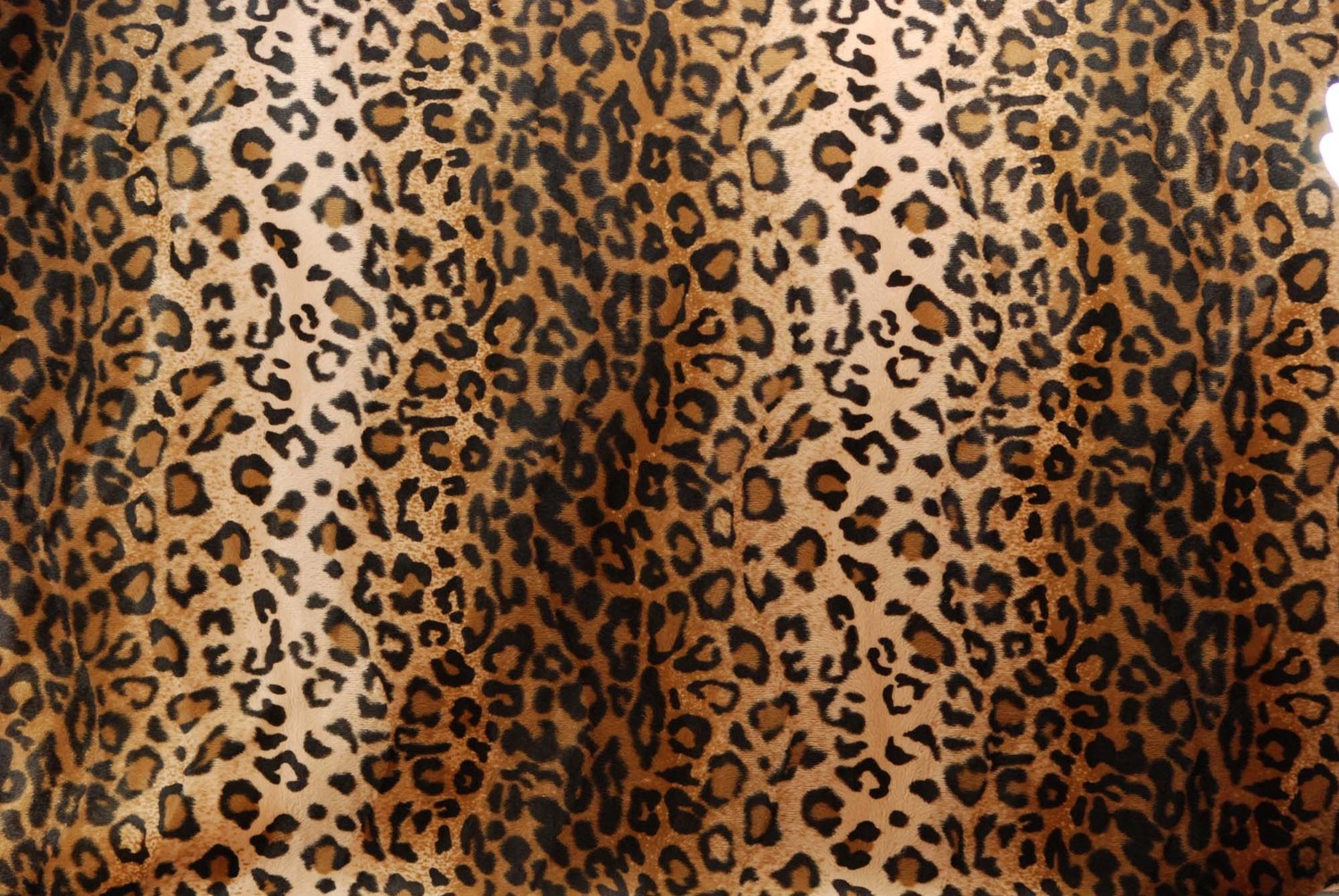 leopard print wallpaper,felidae,fur,pattern,brown,terrestrial animal