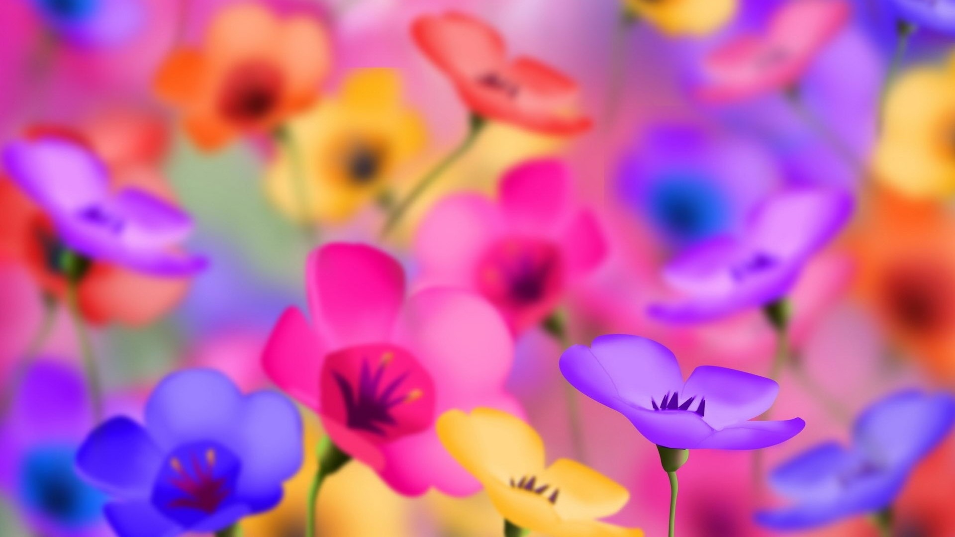 フルhdの花の壁紙,花弁,花,紫の,バイオレット,工場