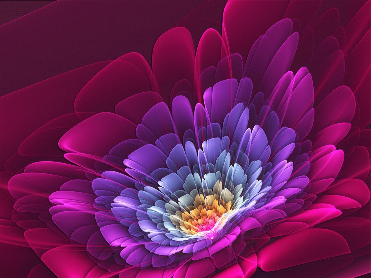 fond d'écran fleur pleine hd,pétale,fleur,rose,plante,art fractal