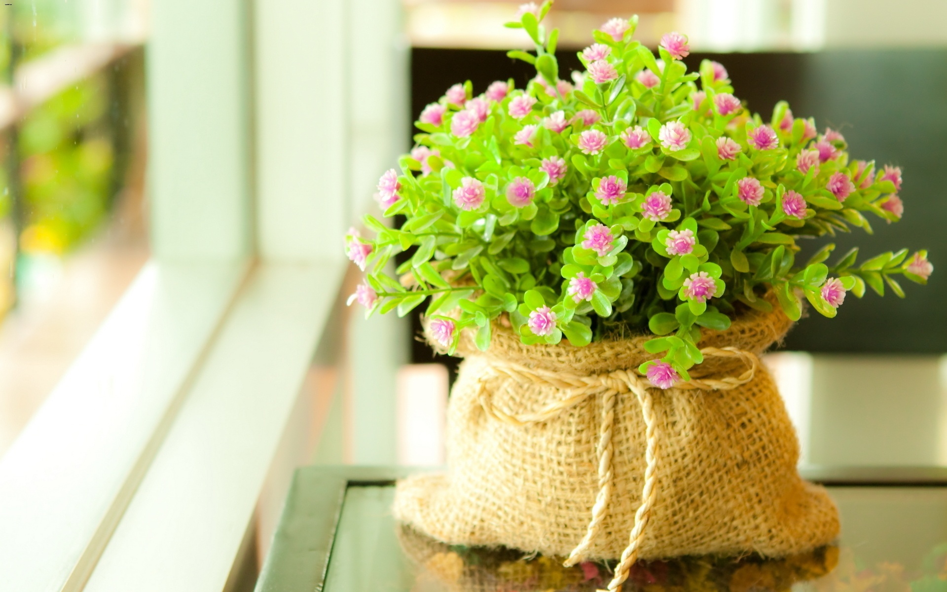 花の壁紙ダウンロード,植木鉢,花,工場,観葉植物,花束