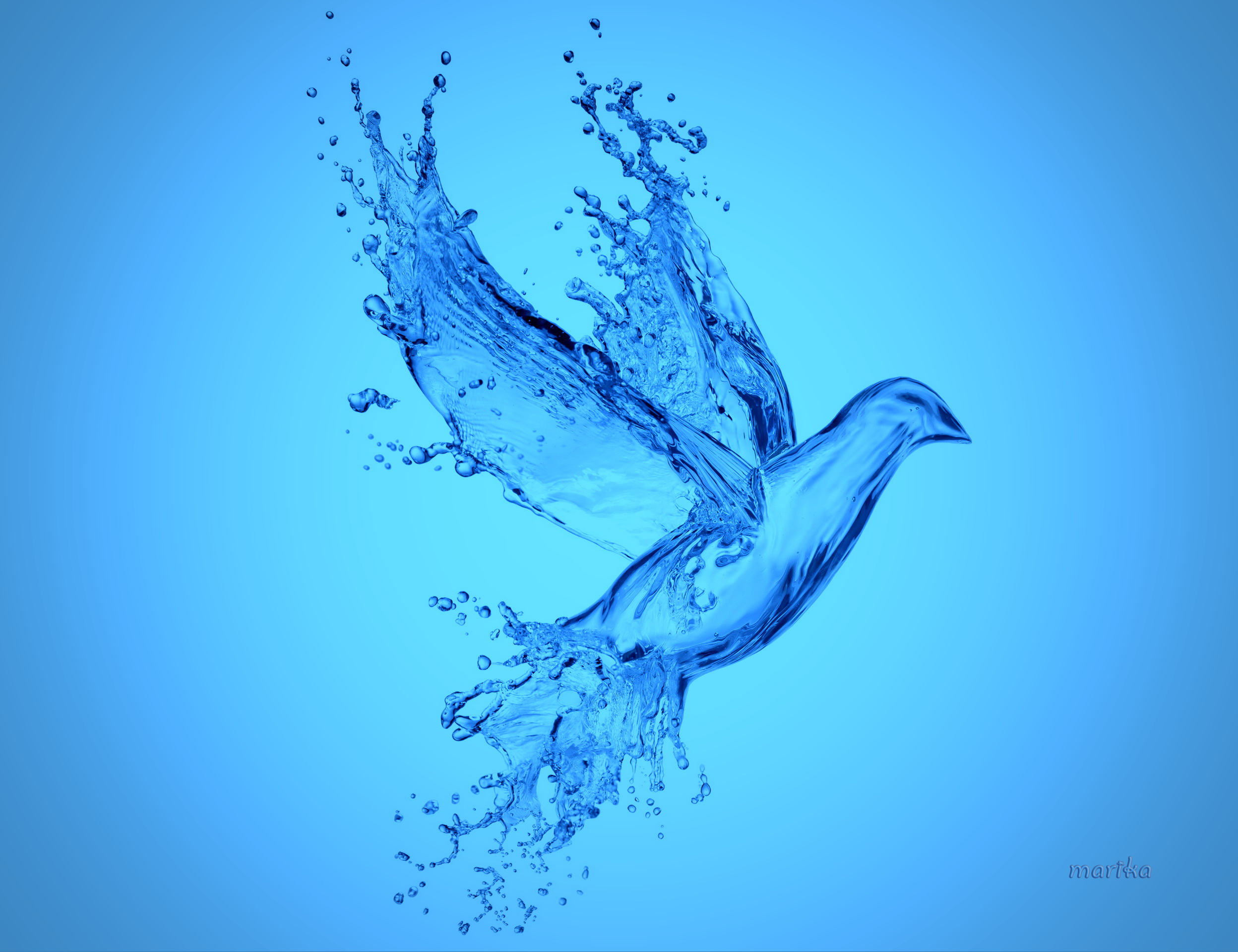 3d水の壁紙,青い,水,鳥,コバルトブルー,アクア
