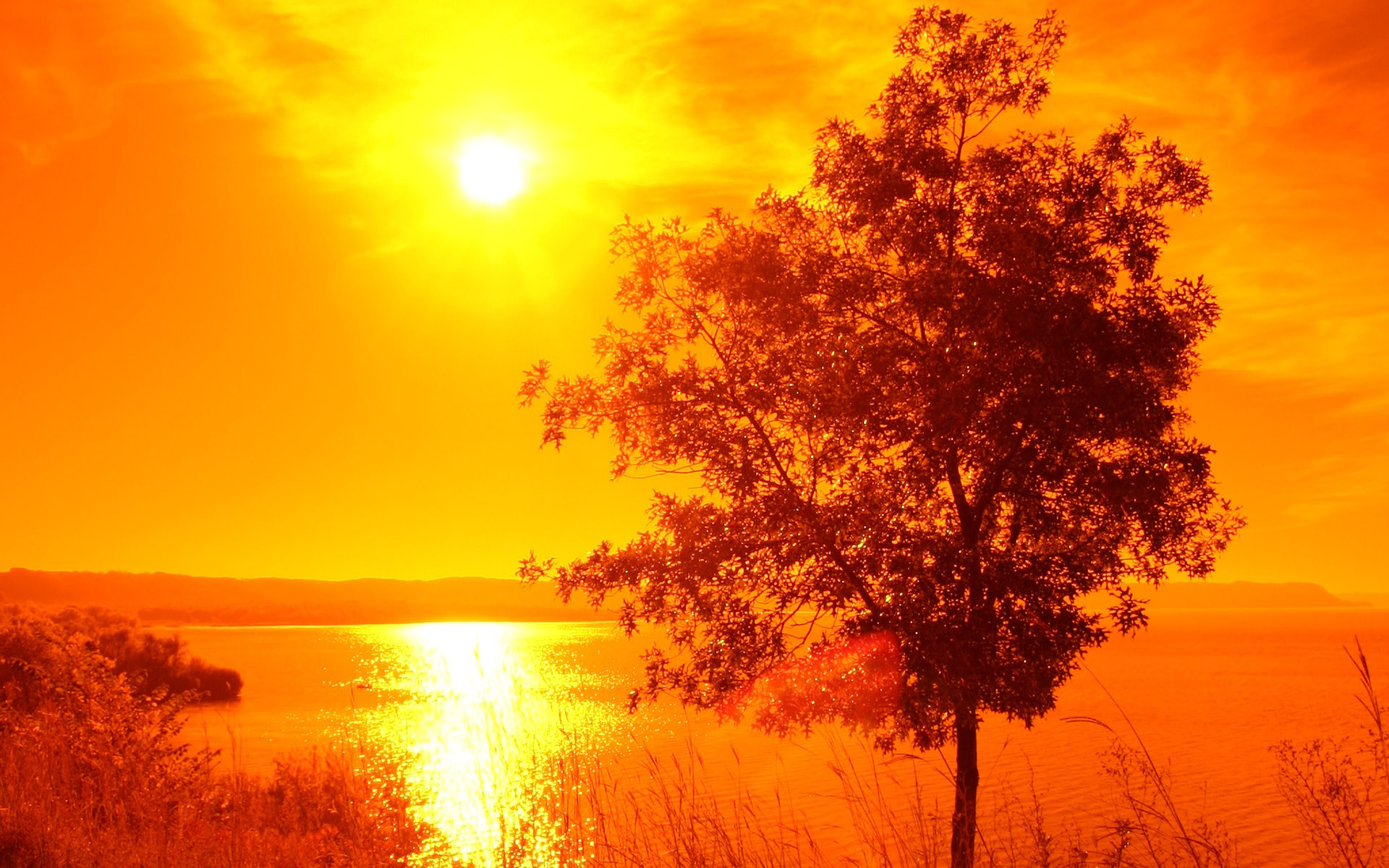 carta da parati del sole,cielo,natura,paesaggio naturale,alba,cielo rosso al mattino