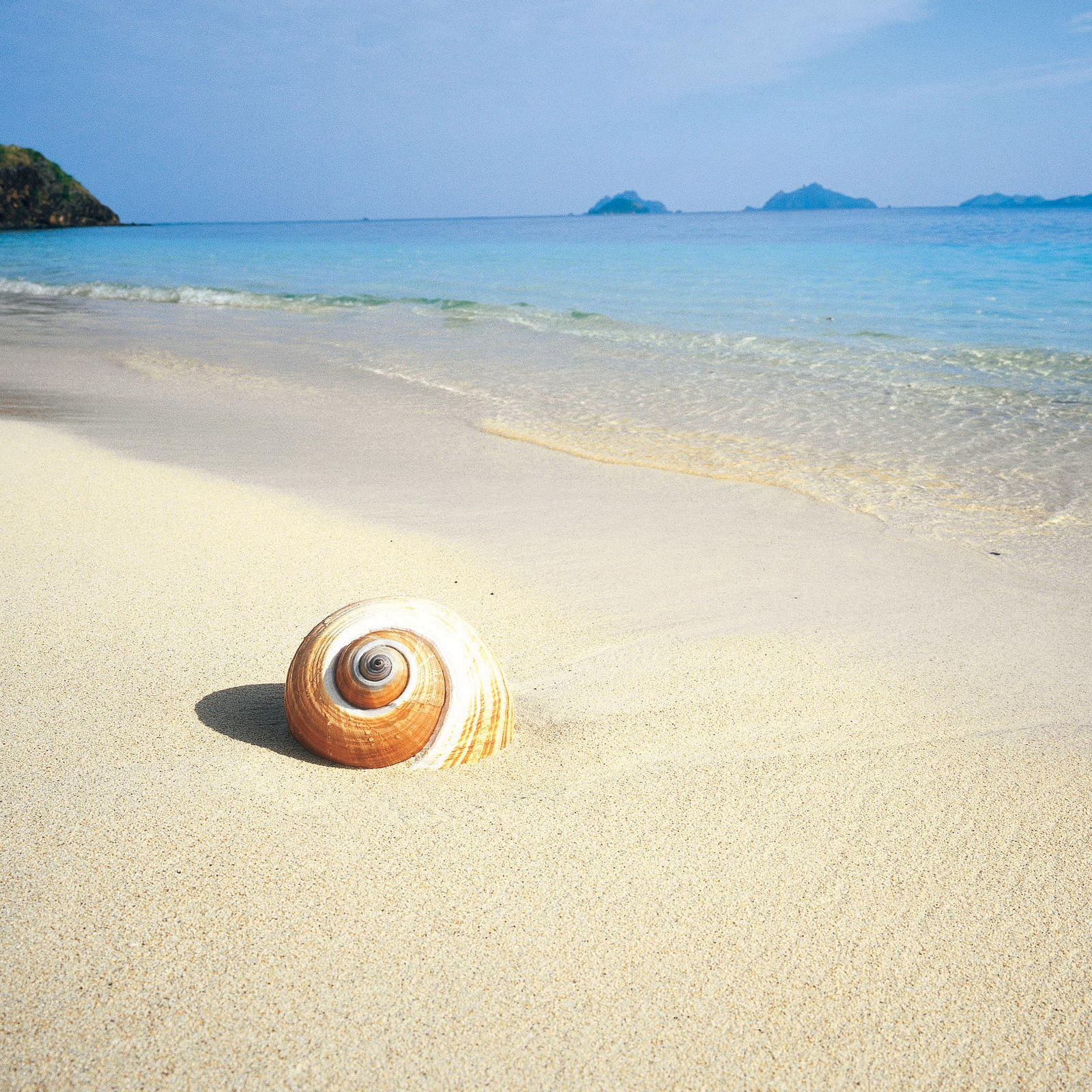 ipad wallpaper retina,sand,beach,shell,sea,vacation
