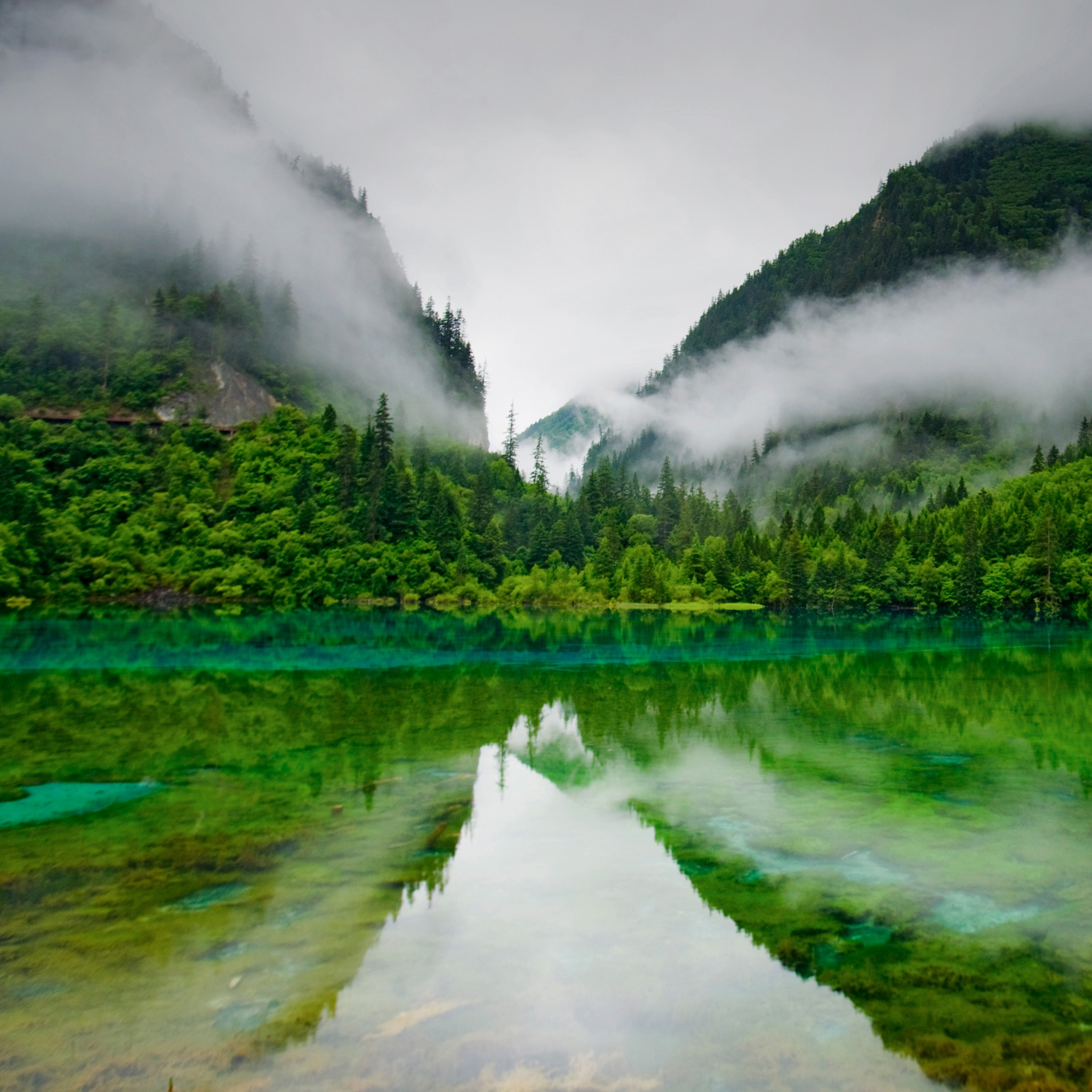 ipad壁紙網膜,自然の風景,自然,水資源,空,緑