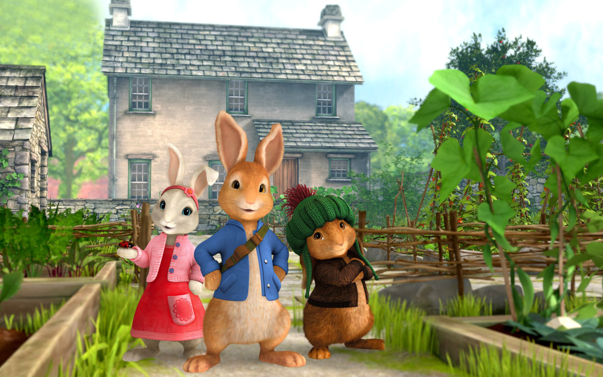 carta da parati peter rabbit,cartone animato,cartone animato,animazione,lepre,coniglio