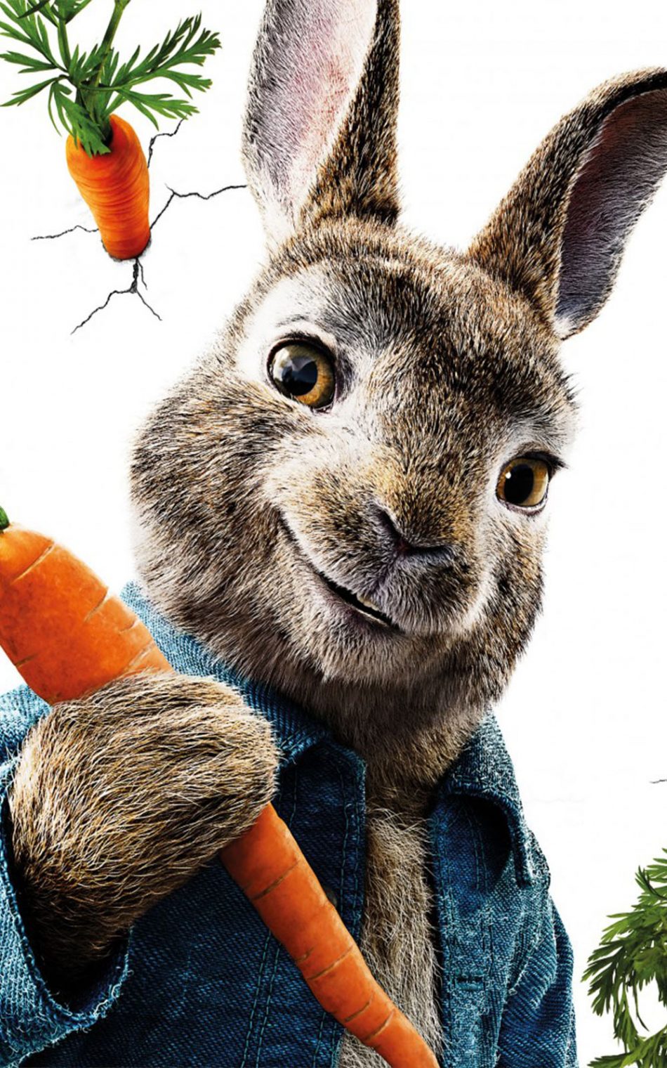 fondos de pantalla de peter rabbit,conejo,conejos y liebres,conejo doméstico,liebre,zanahoria