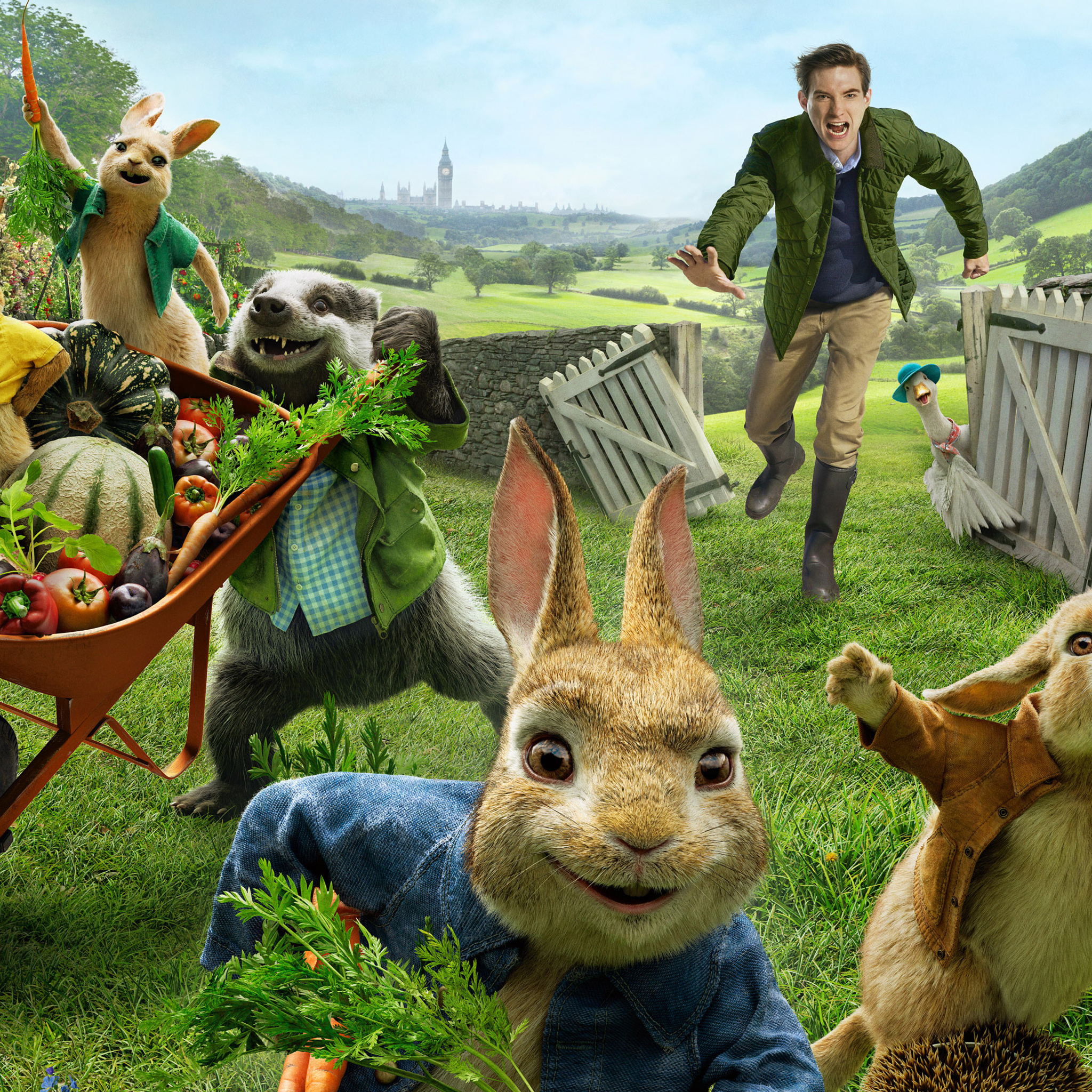 peter rabbit wallpaper,rabbits and hares,hare,rabbit,domestic rabbit,terrestrial animal