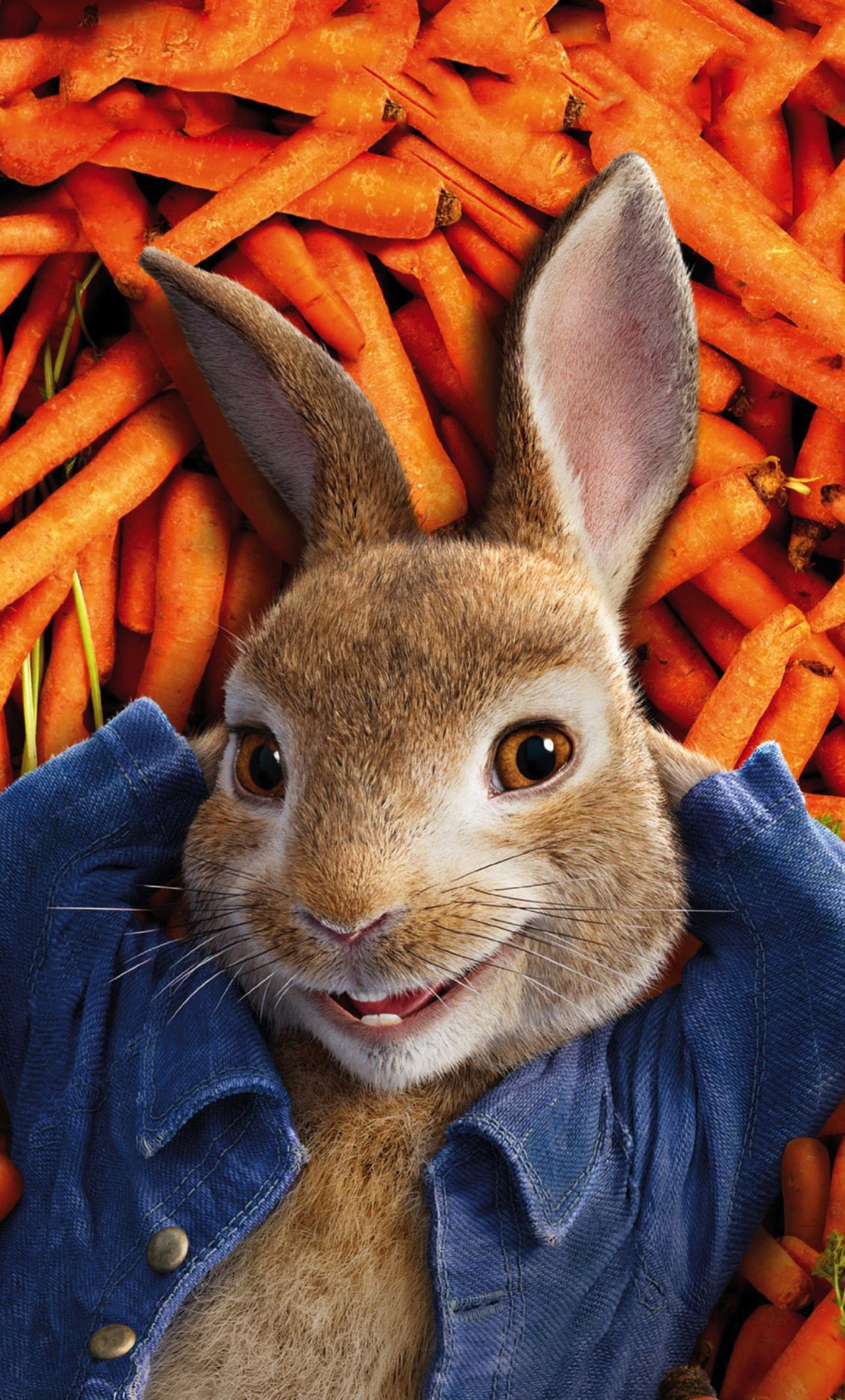 peter rabbit wallpaper,rabbit,vertebrate,mammal,rabbits and hares,domestic rabbit