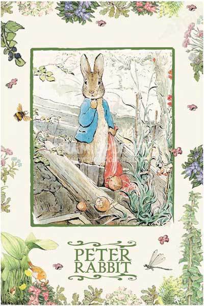carta da parati peter rabbit,coniglio,lepre,illustrazione,fiore di campo,pianta