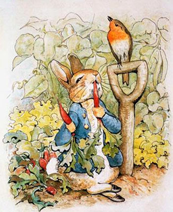 peter rabbit tapete,europäisches rotkehlchen,illustration,drossel,singvogel,hockender vogel