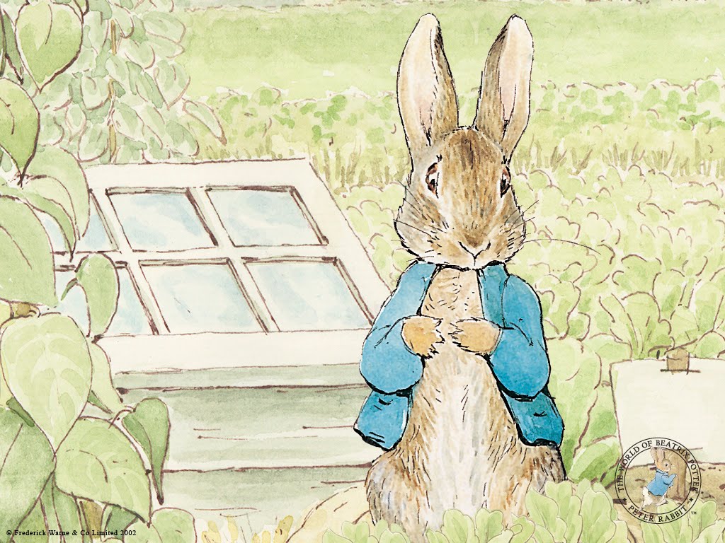 fondos de pantalla de peter rabbit,conejo,liebre,conejos y liebres,conejo doméstico,conejo de madera