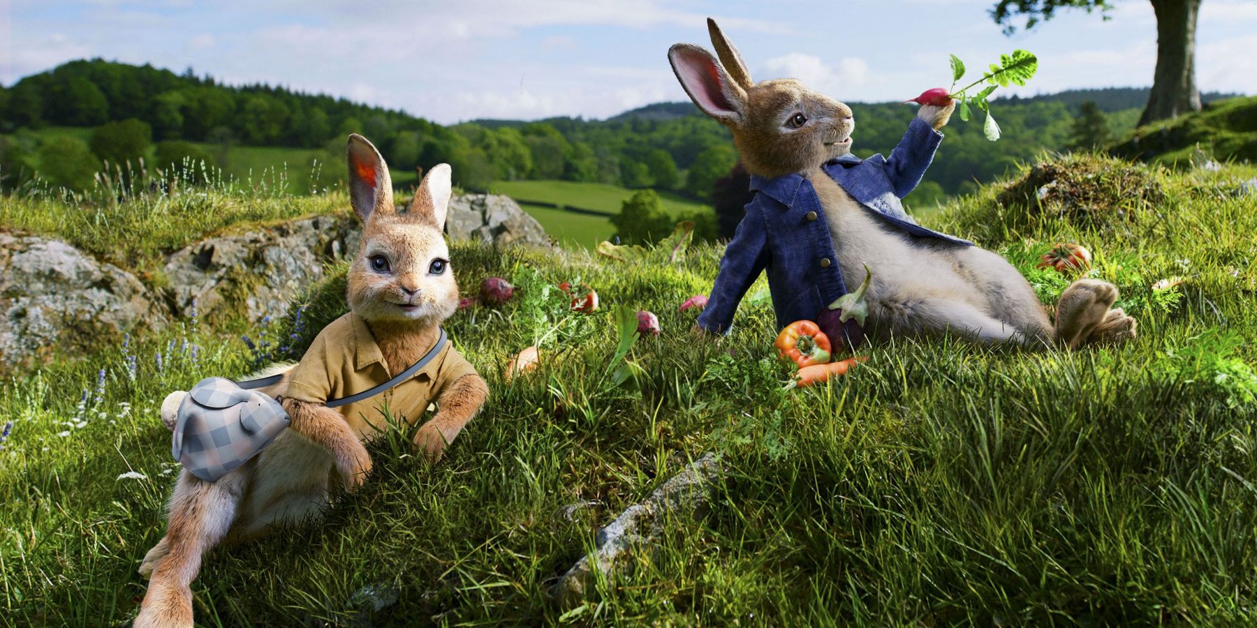 peter rabbit wallpaper,grass,wildlife,fawn,adaptation,canidae