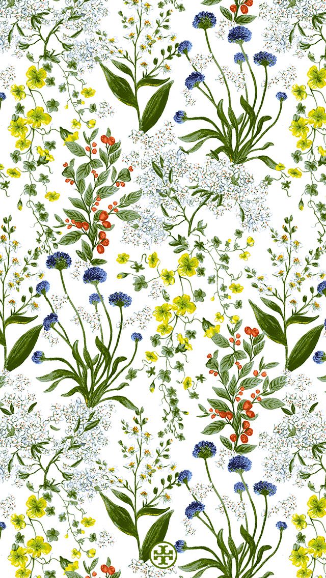 botanical wallpaper,flower,plant,botany,rosemary,leaf
