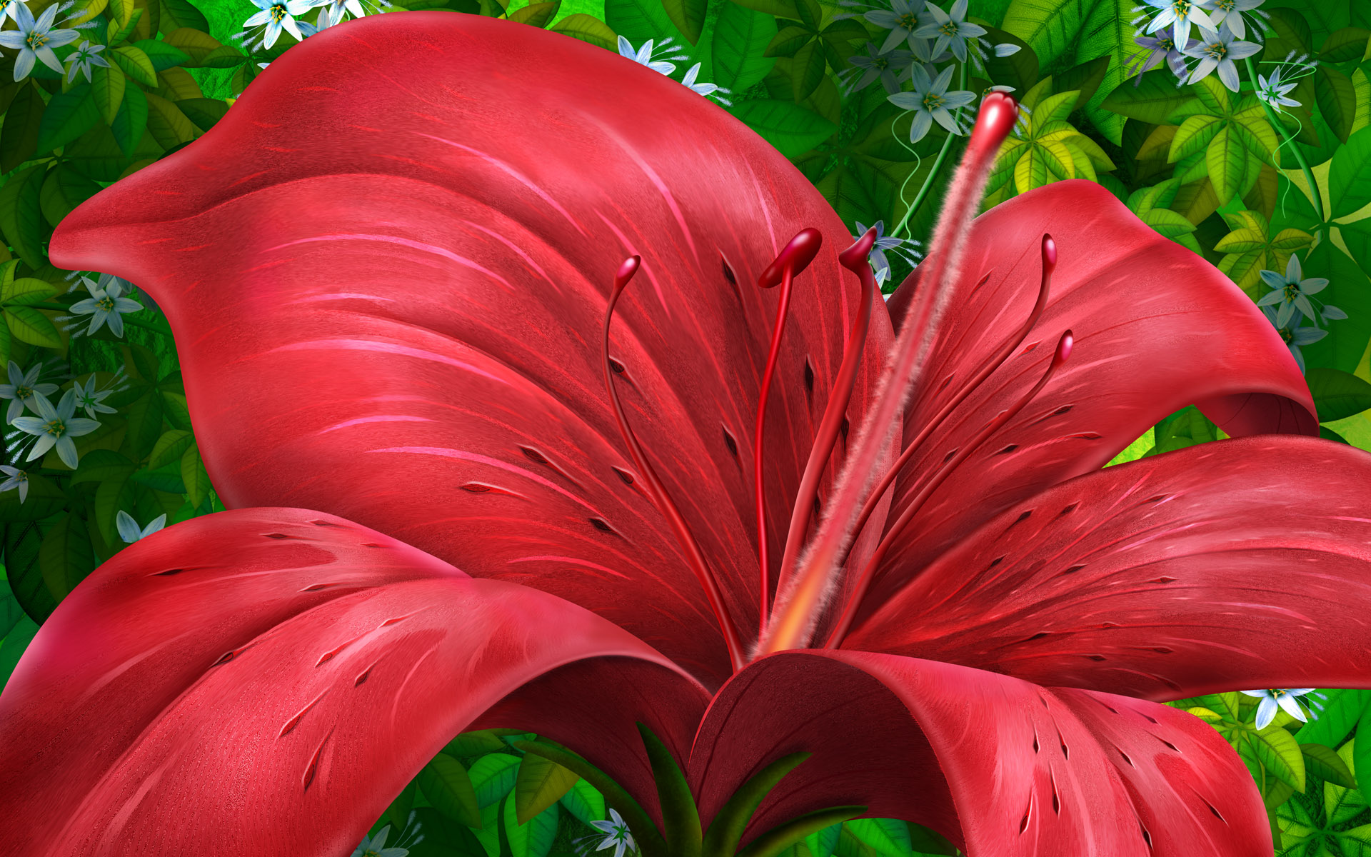 red flower wallpaper,red,flower,ti plant,plant,anthurium