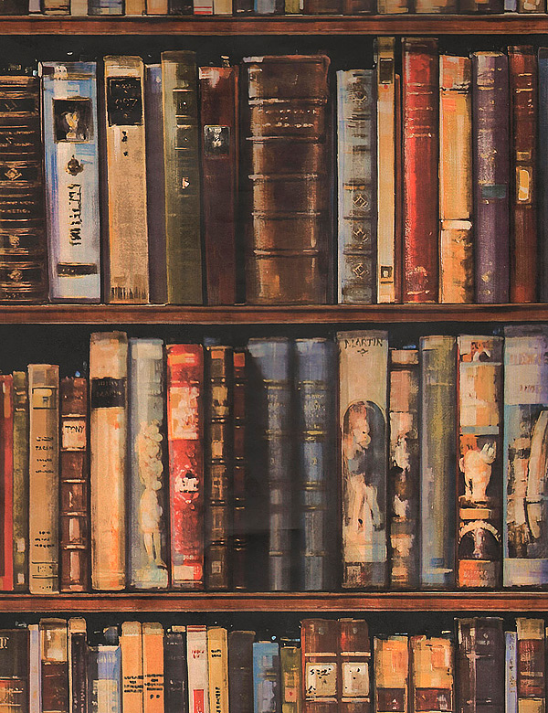 books wallpaper,shelf,shelving,bookcase,book,publication