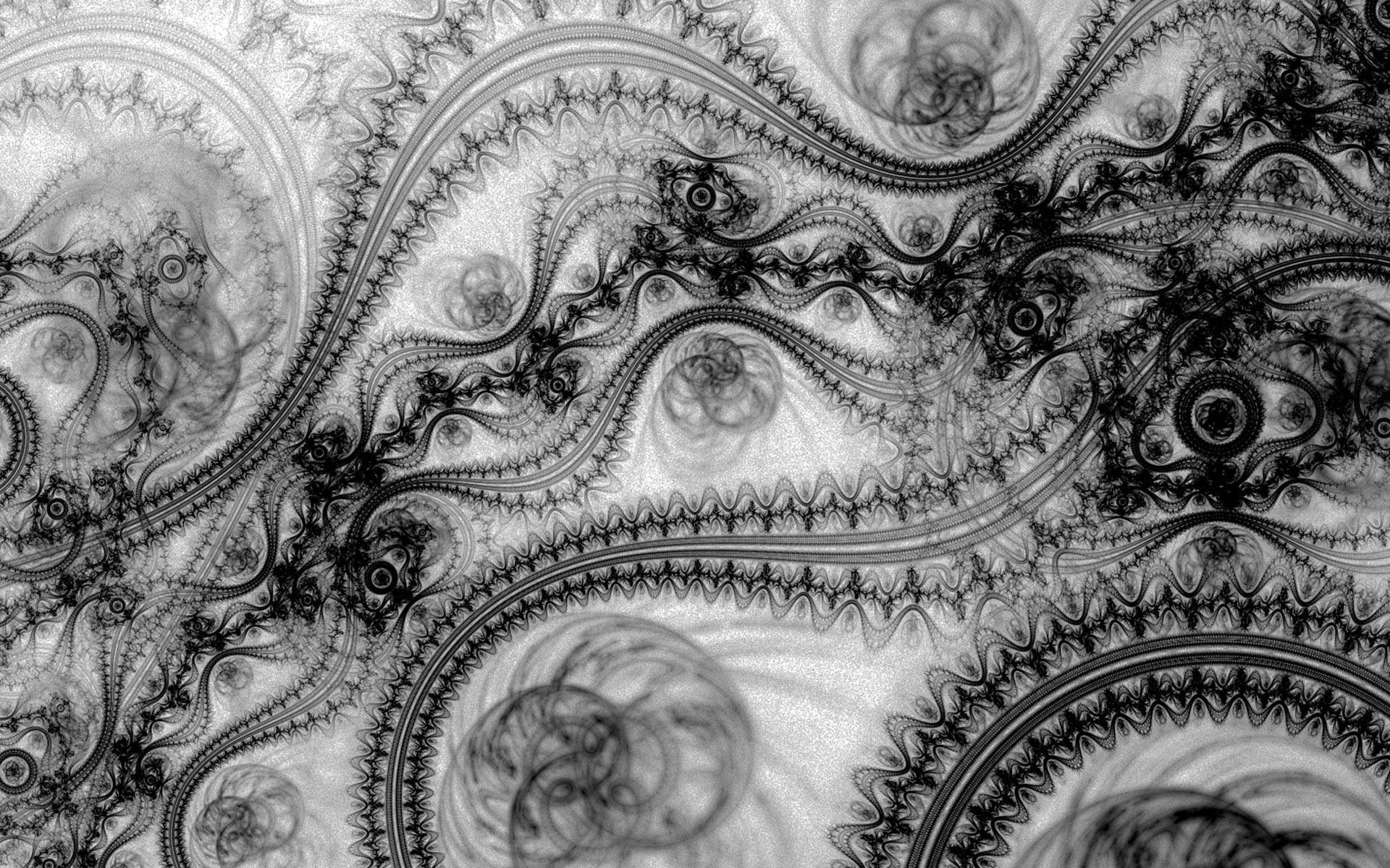 lace wallpaper,pattern,black and white,monochrome,monochrome photography,visual arts