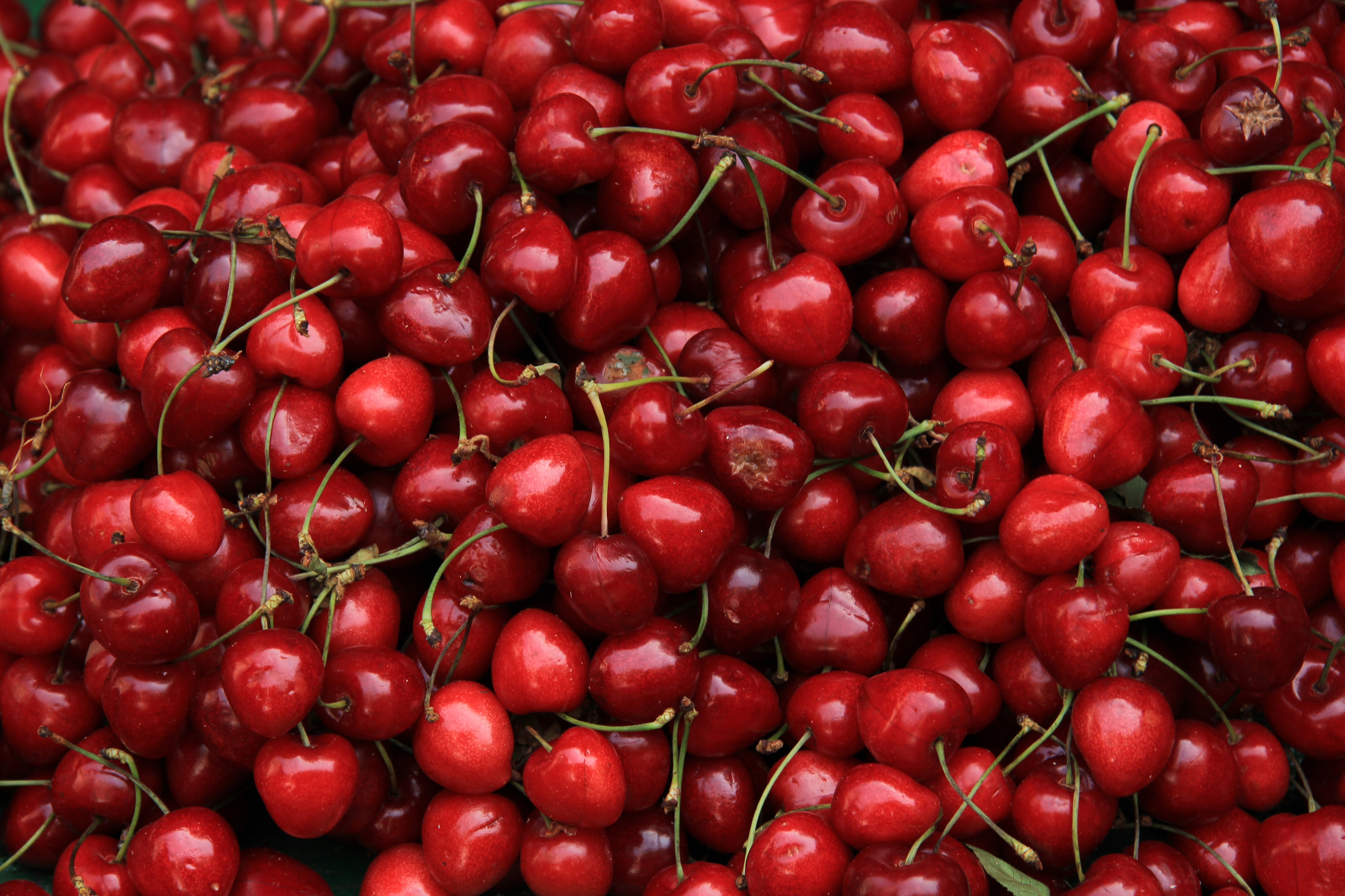 cherry wallpaper,natural foods,local food,fruit,cherry,red