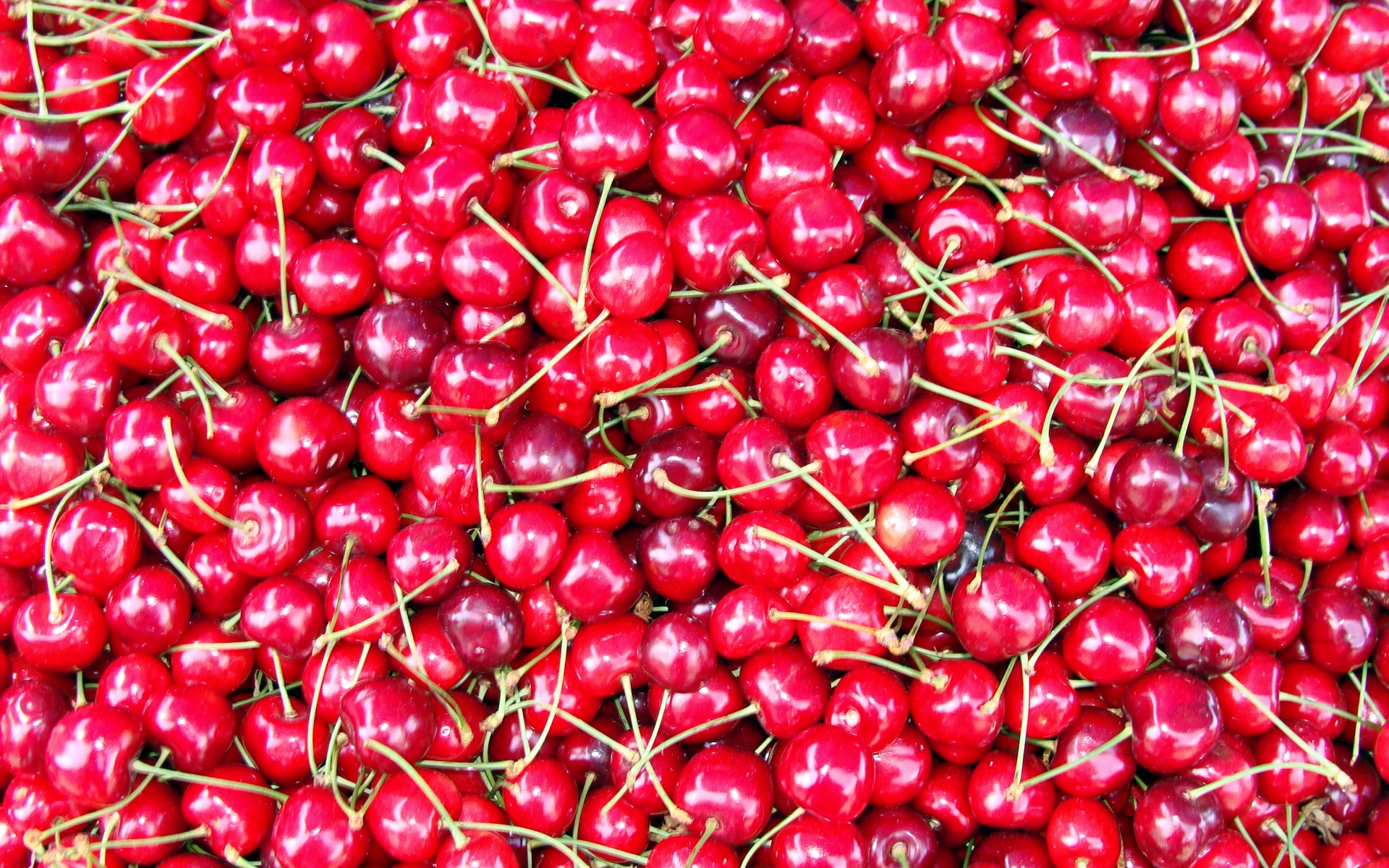 cherry wallpaper,natural foods,red,food,plant,local food