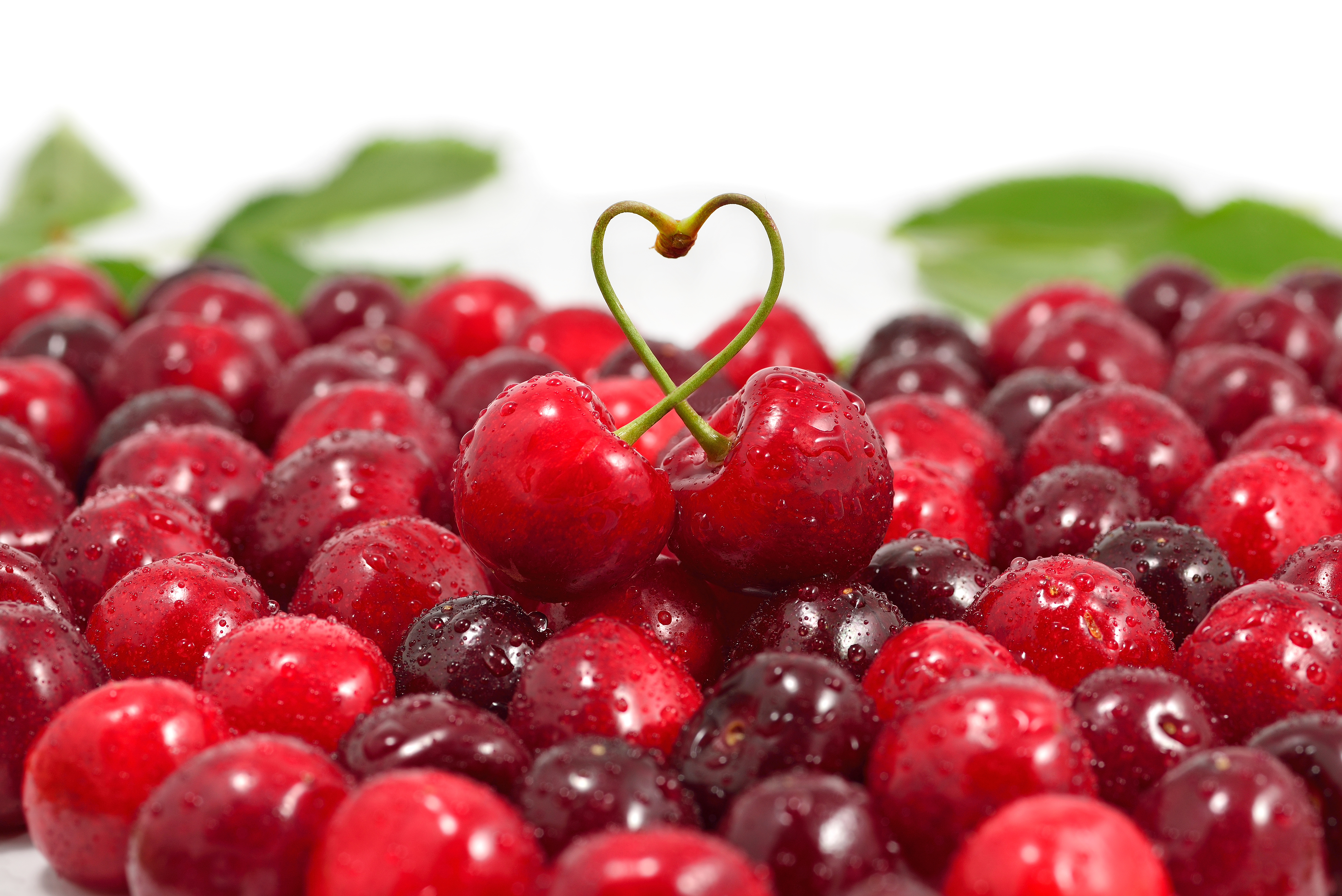 cherry wallpaper,natural foods,berry,cherry,fruit,food