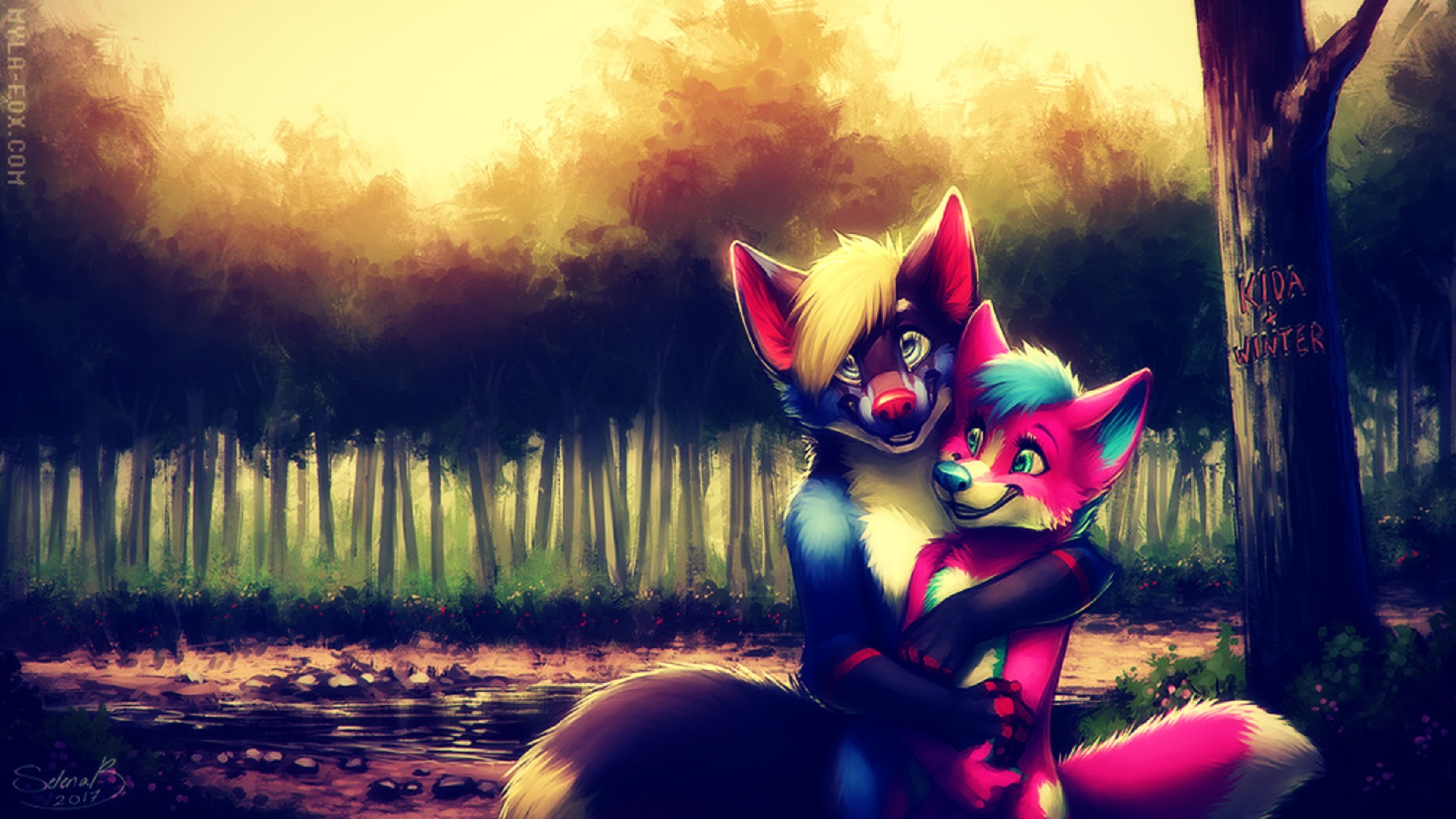 Furry wallpaper. Найт Фокс аниме. Фурри. Фурри арт. Фурри обои.