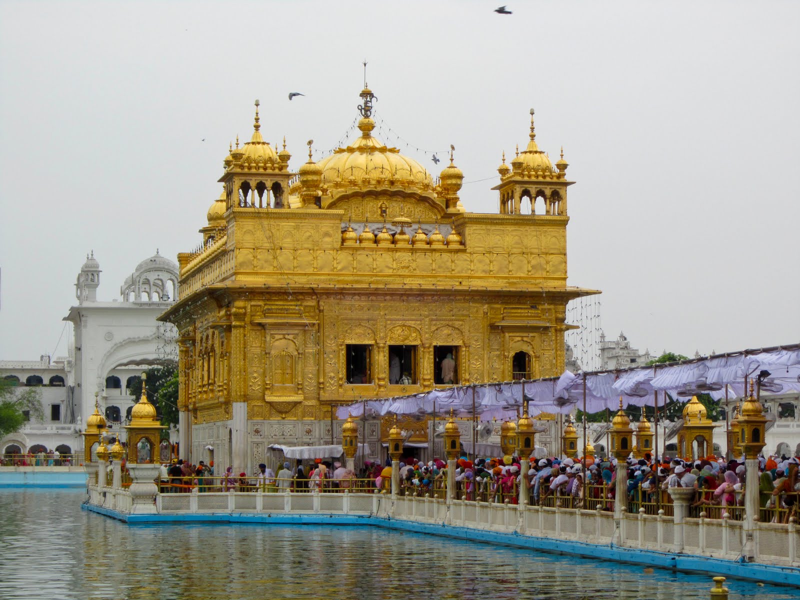Золотой храм хармандир сахиб (г. Золотой храм в амритсаре. Золотой храм сикхов в индии. Золотой храм хармандир-сахиб в амритсаре. Золотой храм — хармандир-сахиб (амритсар, индия).