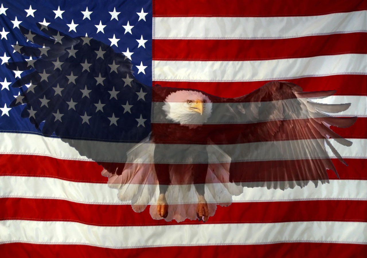 patriotic wallpaper,flag,flag of the united states,flag day (usa),bald eagle,eagle