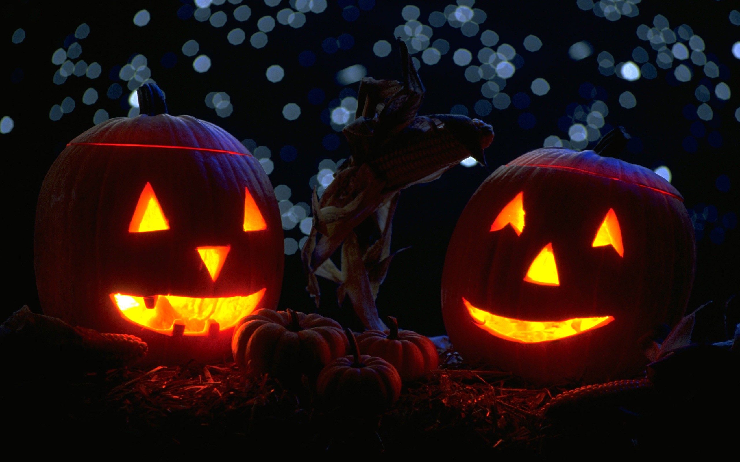 sfondo del desktop di halloween,calabaza,jack o lantern,dolcetto o scherzetto,arancia,frutta