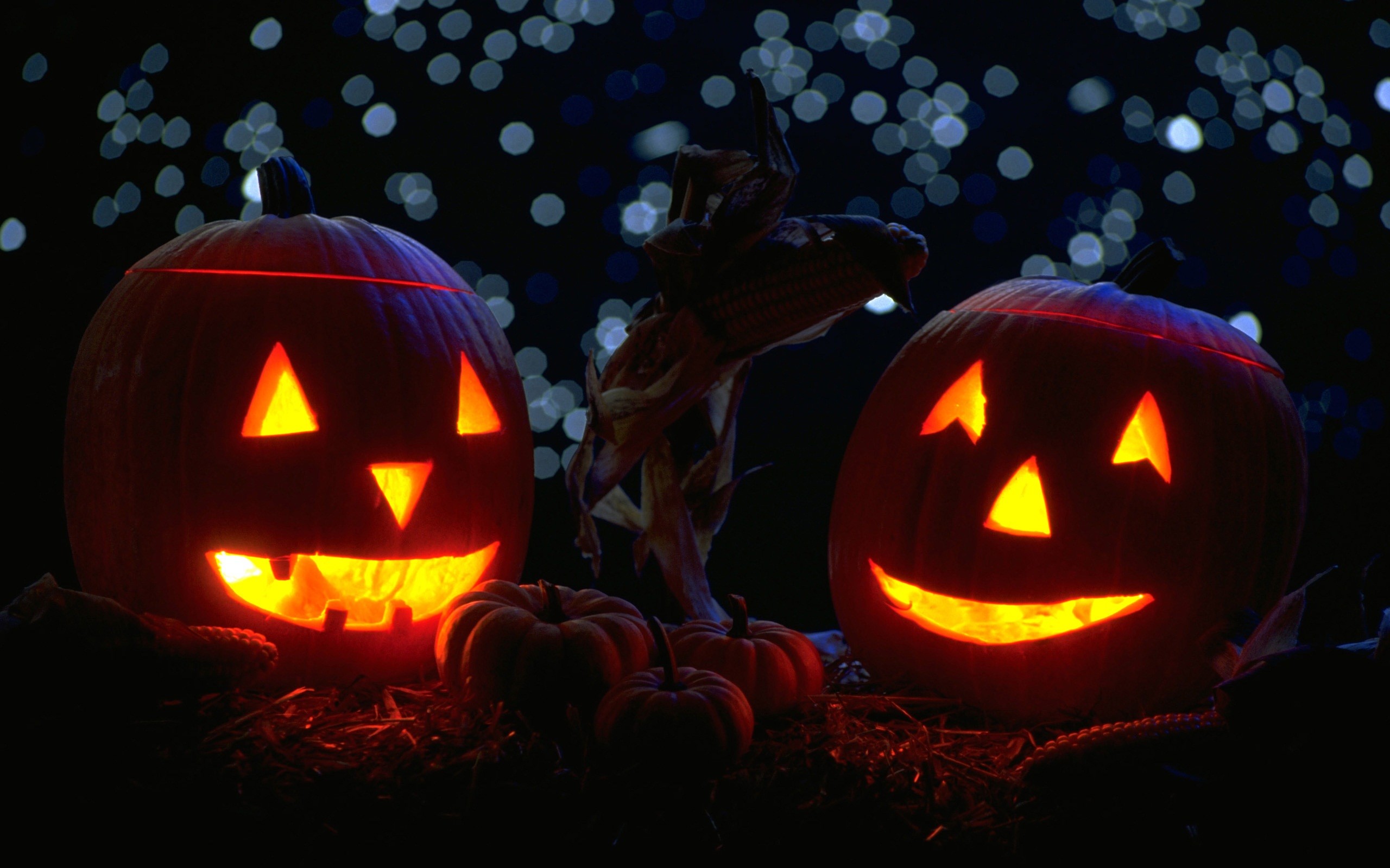 halloween desktop wallpaper,calabaza,jack o' lantern,trick or treat,orange,fruit