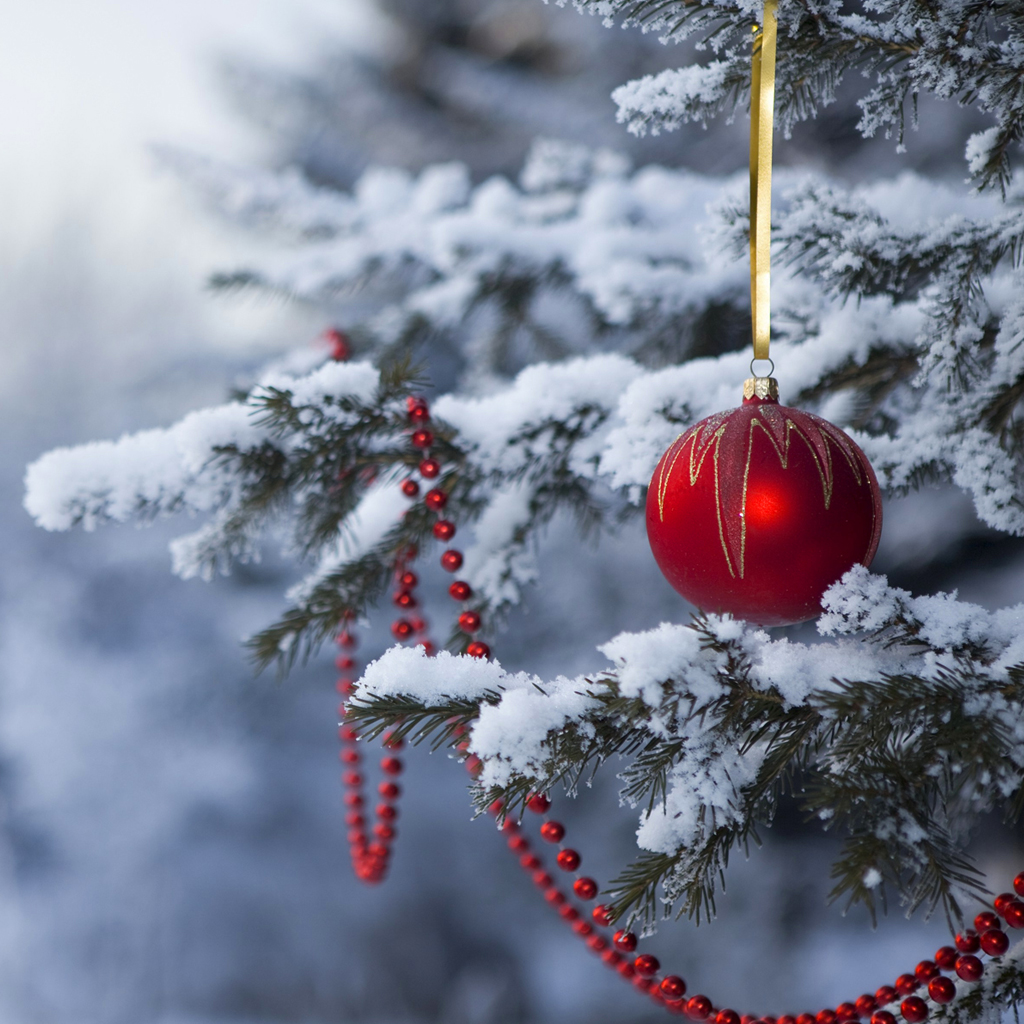 christmas desktop wallpaper,red,winter,christmas ornament,freezing,snow
