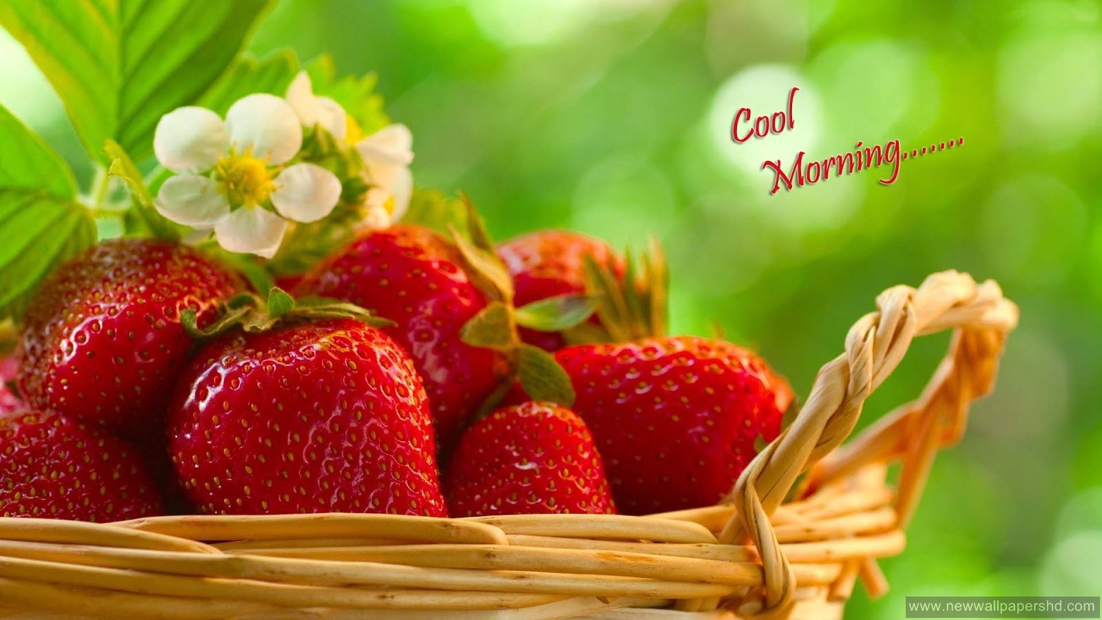 new good morning wallpaper,natural foods,strawberry,strawberries,fruit,food