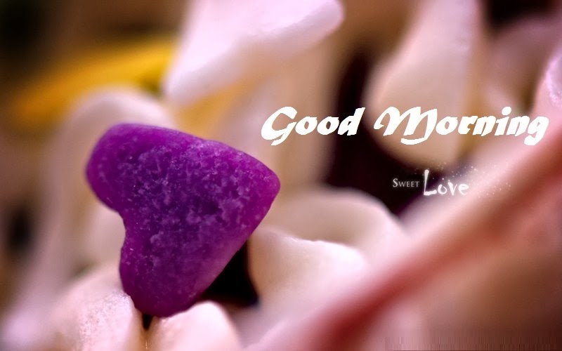 good morning love wallpaper,petal,purple,violet,heart,font