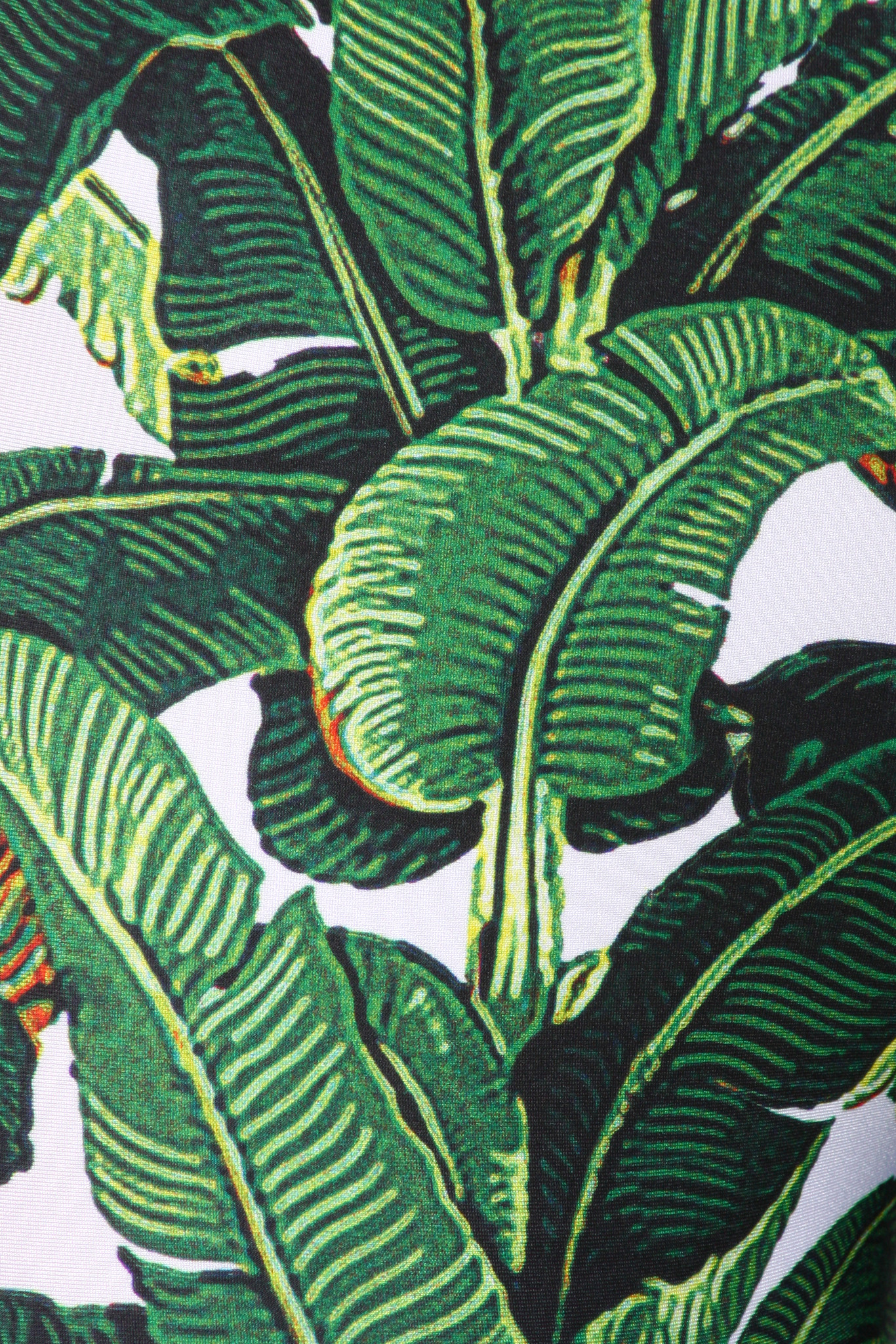 banana leaf wallpaper,plant,flower,leaf,terrestrial plant,arrowroot family